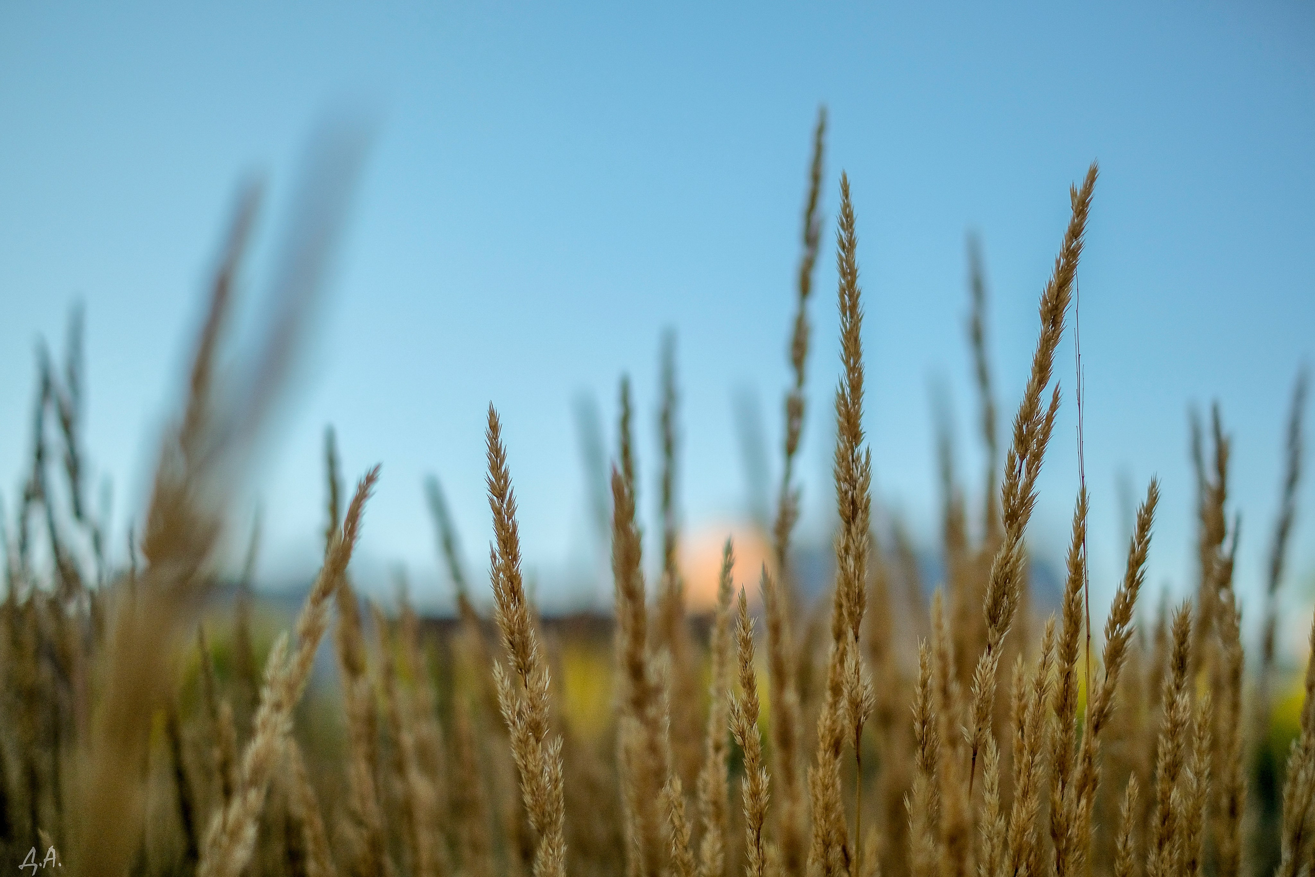 Пейзажи. Фотограф Дмитрий Алексеев