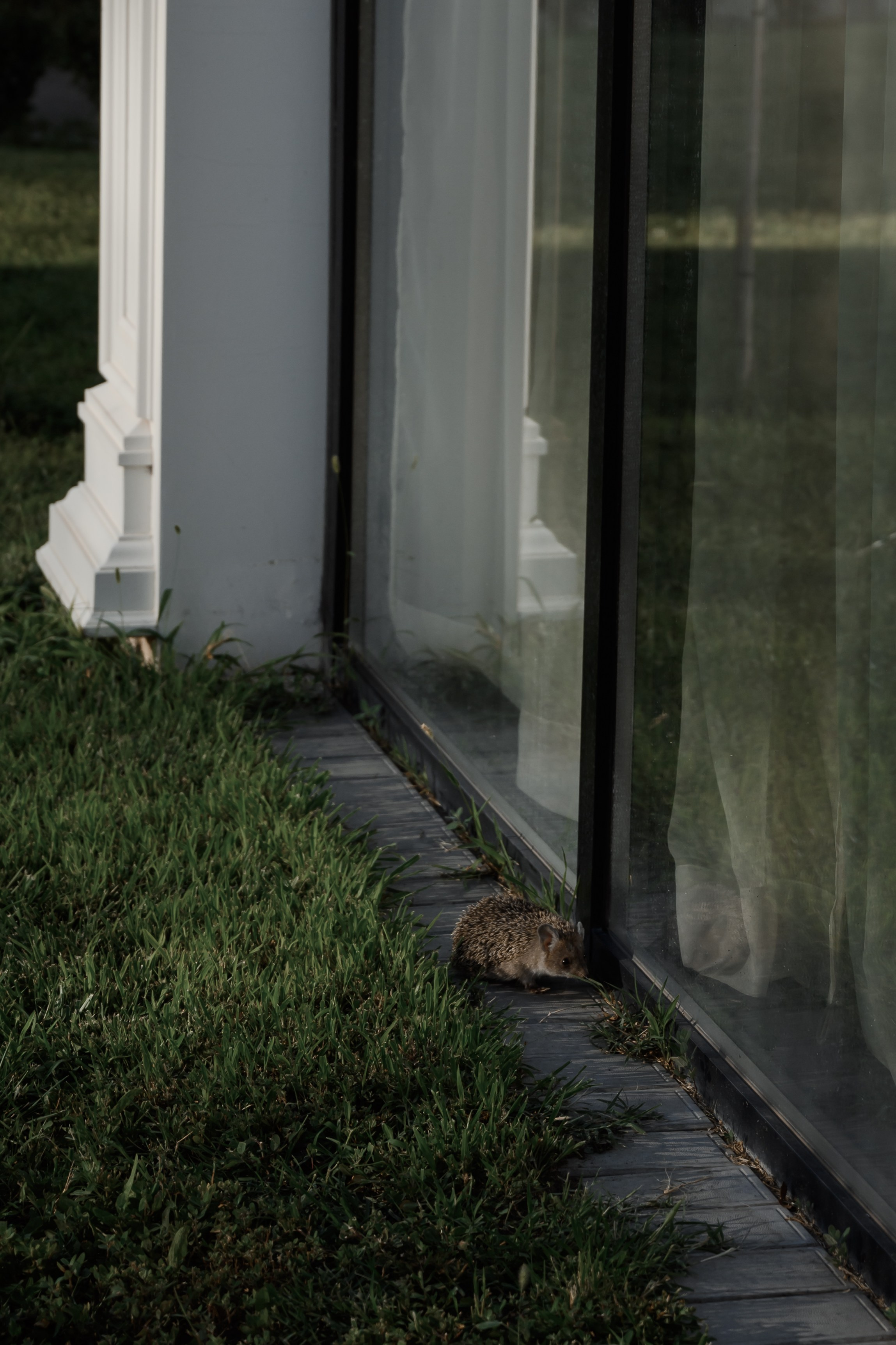 А + М. Свадебный фотограф в г. Астрахань. Так же выезжаю в другие города
