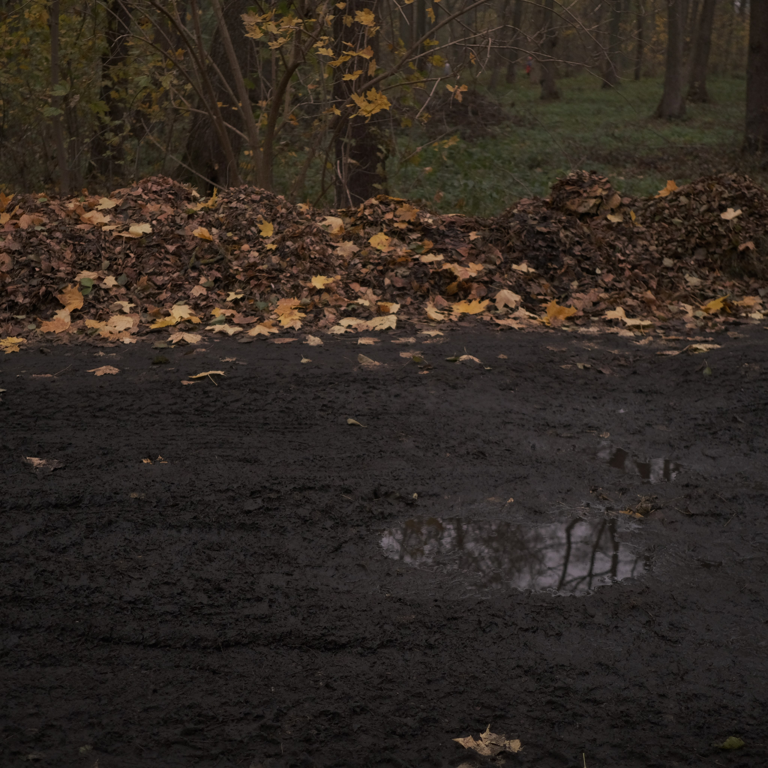 Калининград. LIYALEE PHOTO