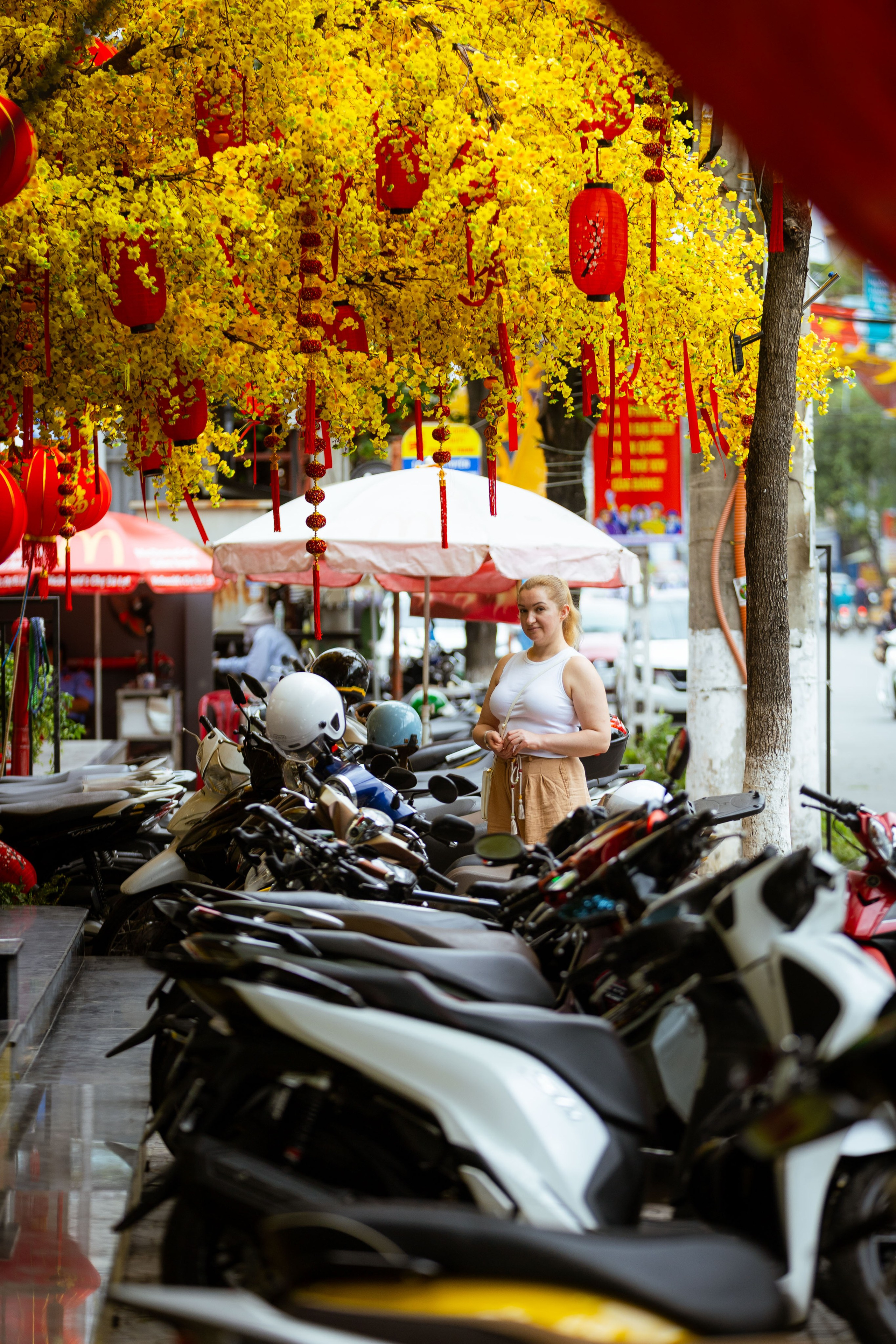 Вьетнам (зима 2025-2026). Фотограф Виноградов Константин