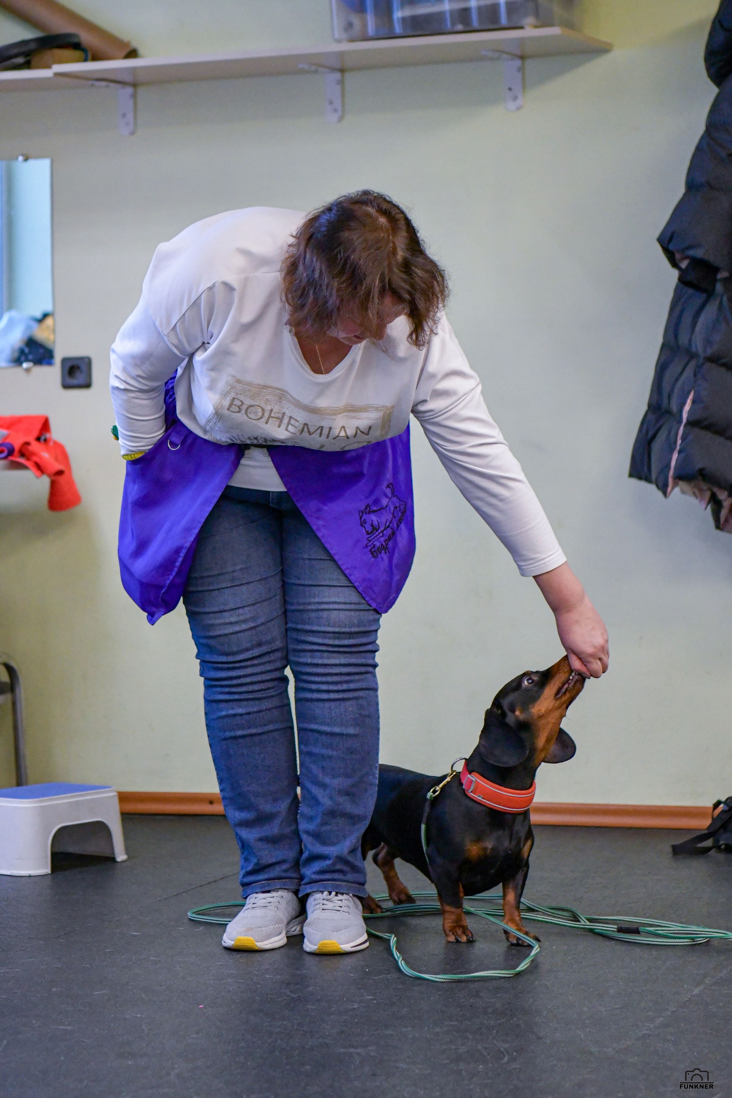 Кинологический клуб «Бодрый хвост». Свой взгляд через объектив