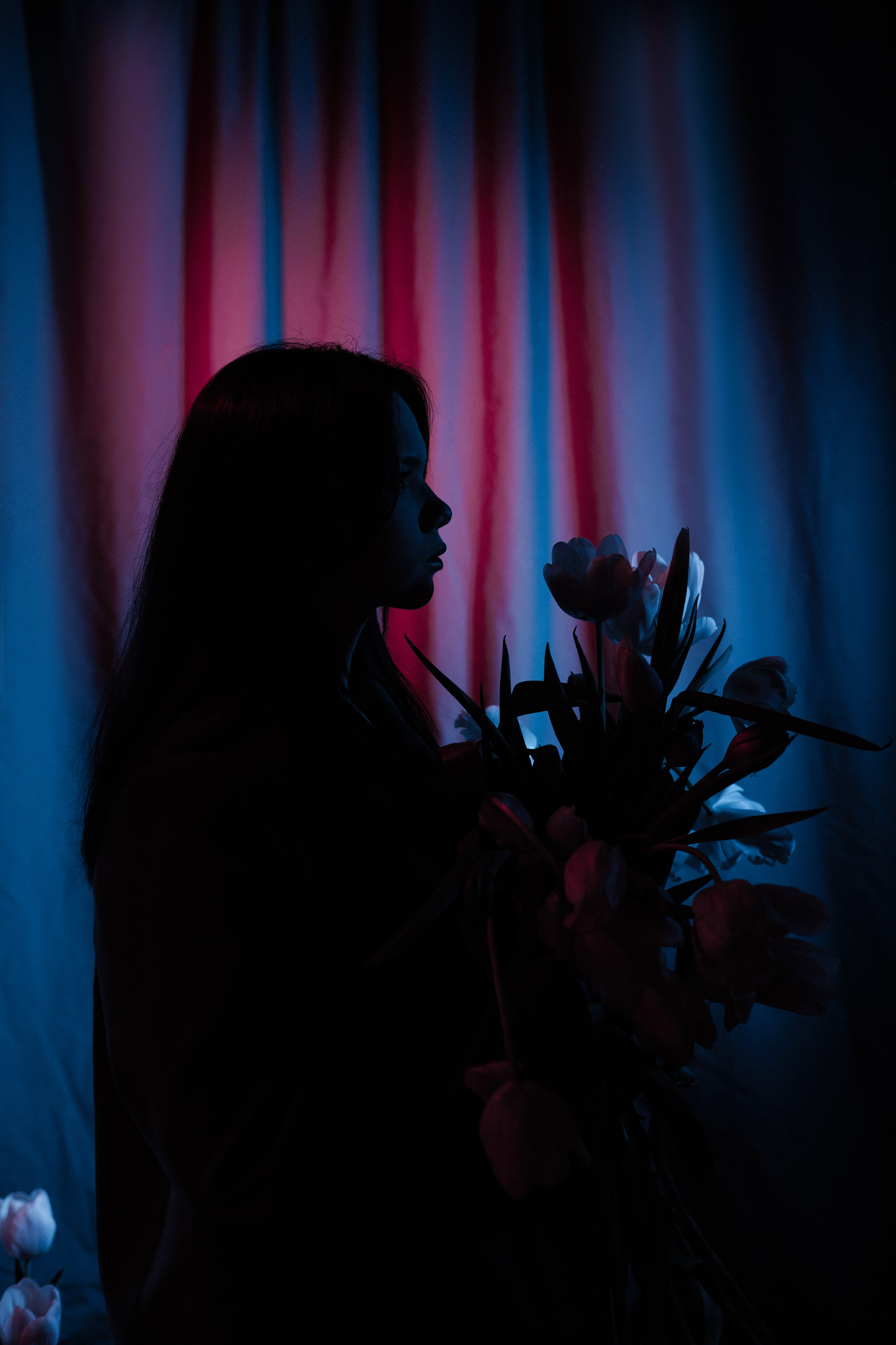 Портрет девушки силуэт с цветным светом