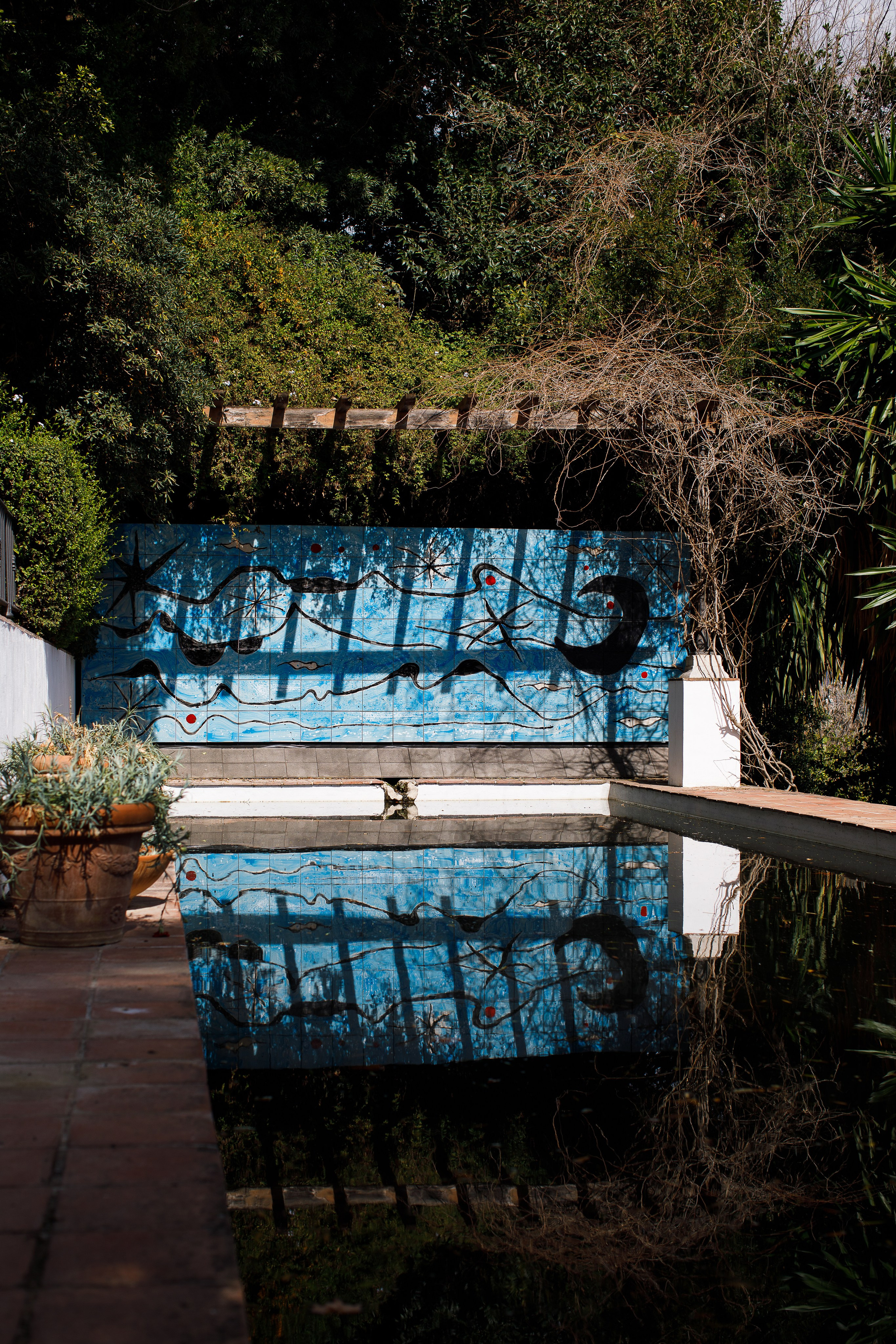 Малага 2024. Репортажный и портретный фотограф Русакова Жанна