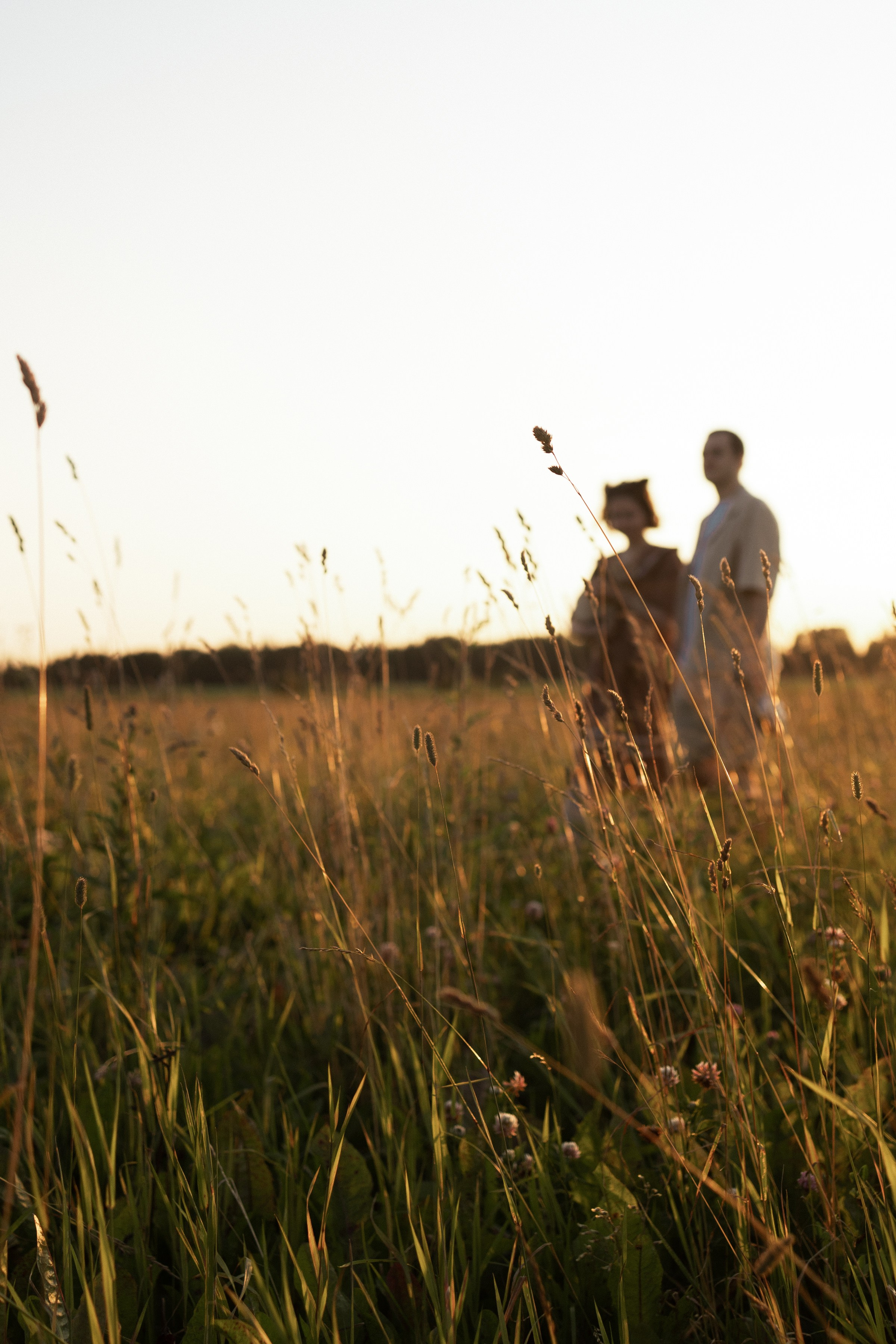 Лето. Поле. Любовь. Портретный фотограф СПб, женский фотограф, минимализм и эстетика