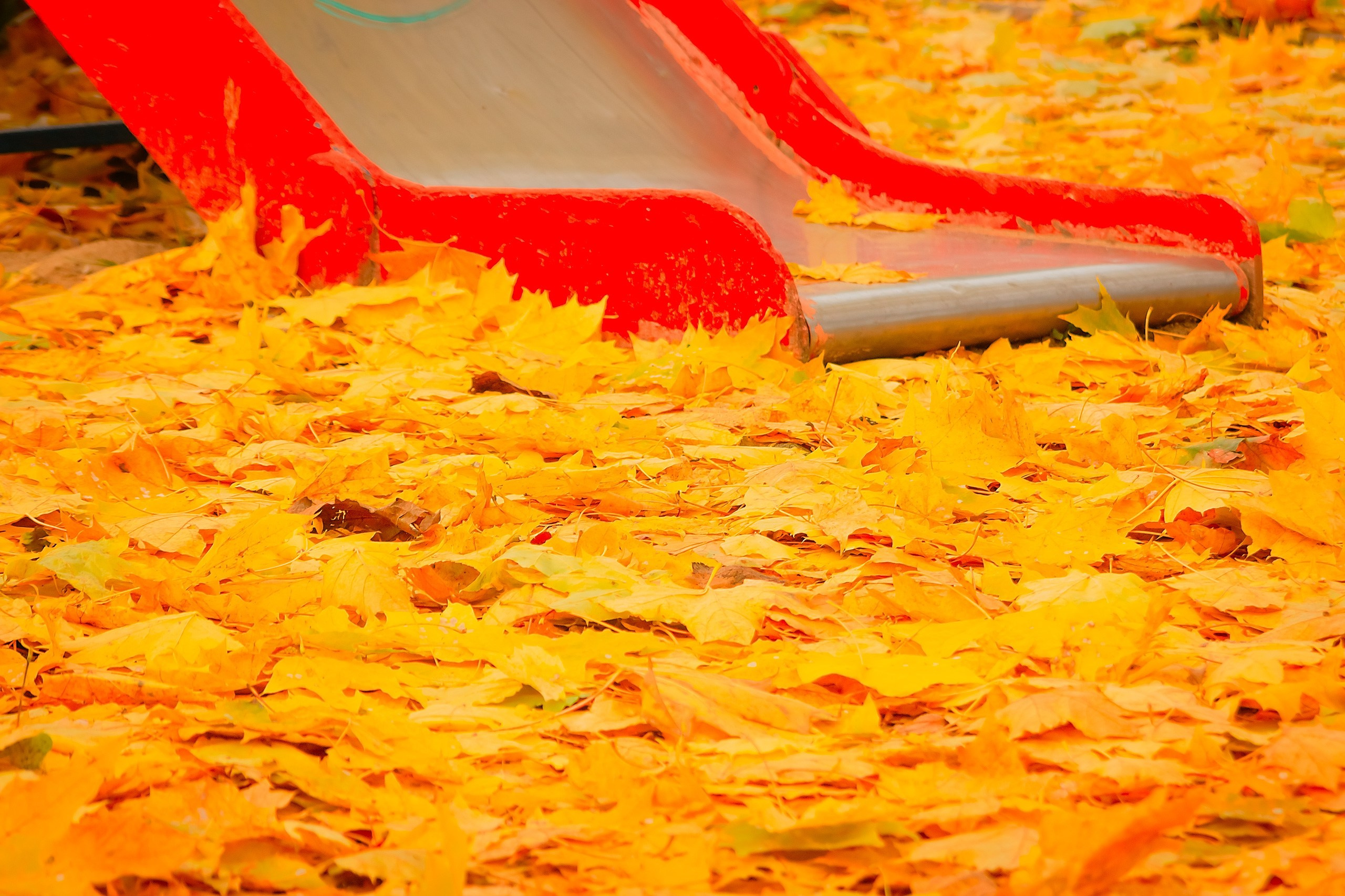 Свет и Цвет. Аmat Victoria Сuram