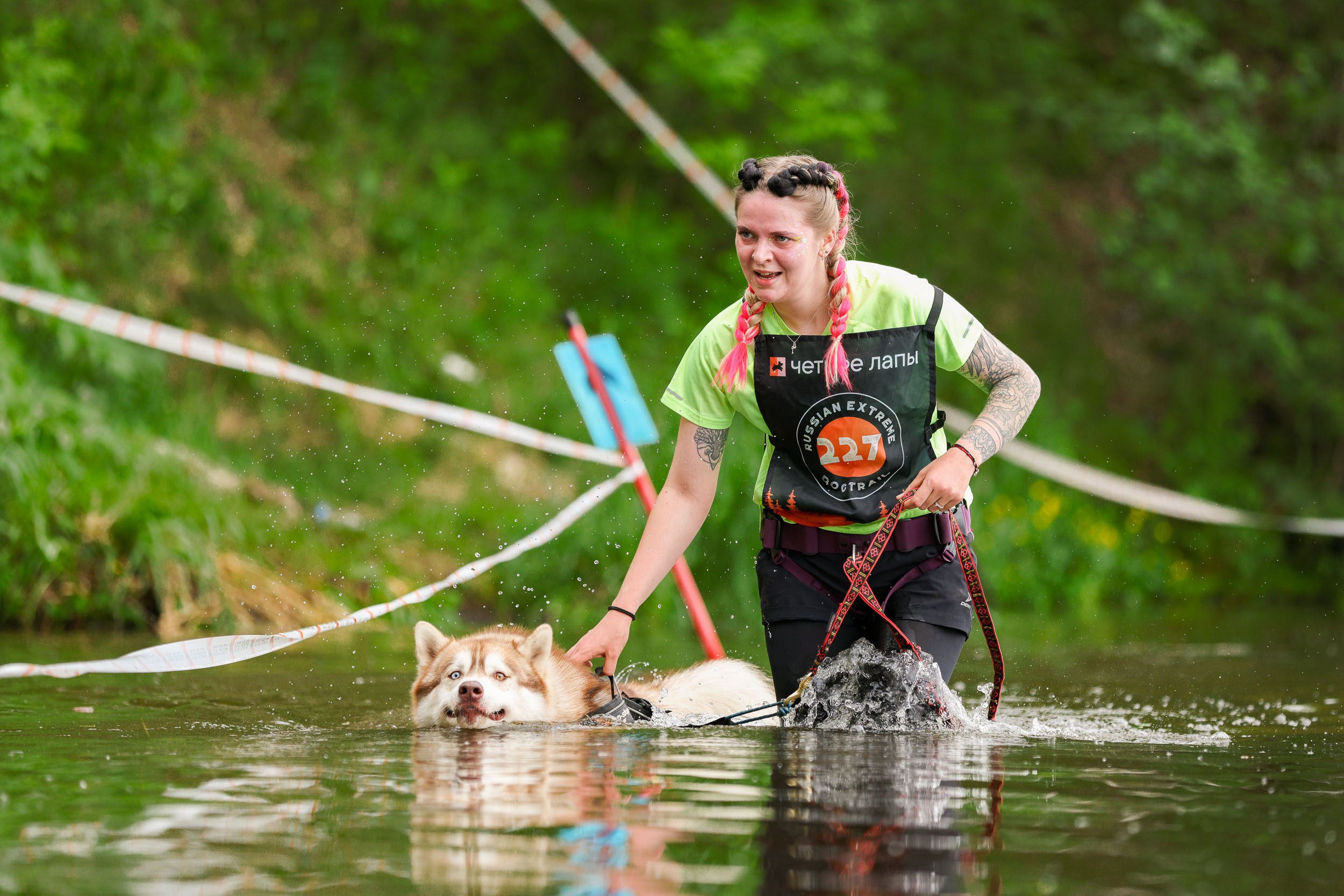 Фото с Russian extreme dog trail. Фотограф-анималист в Москве и Московской области Татьяна Фролова