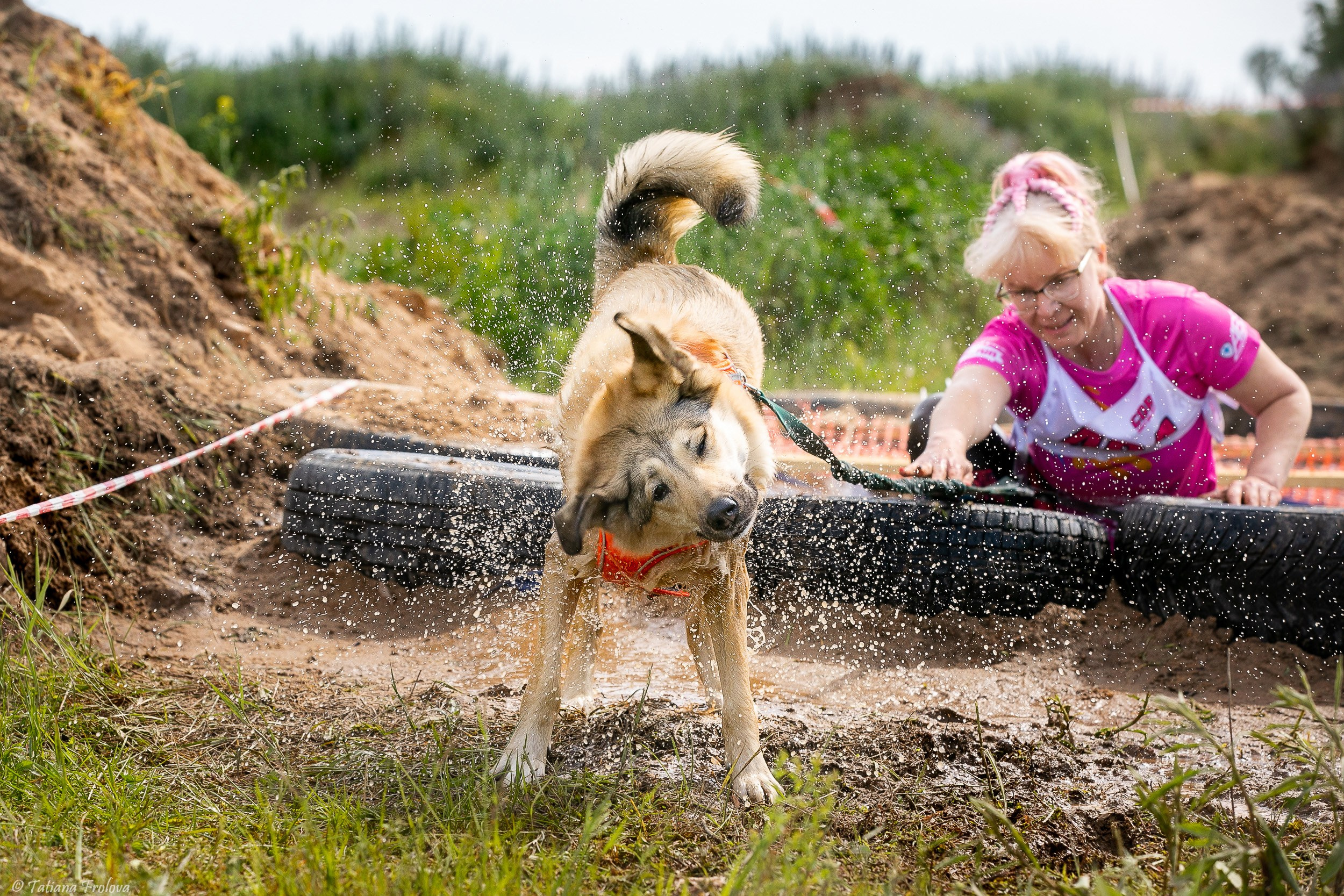 Фоторепортаж с забега с собаками. Фотограф-анималист в Москве и Московской области Татьяна Фролова