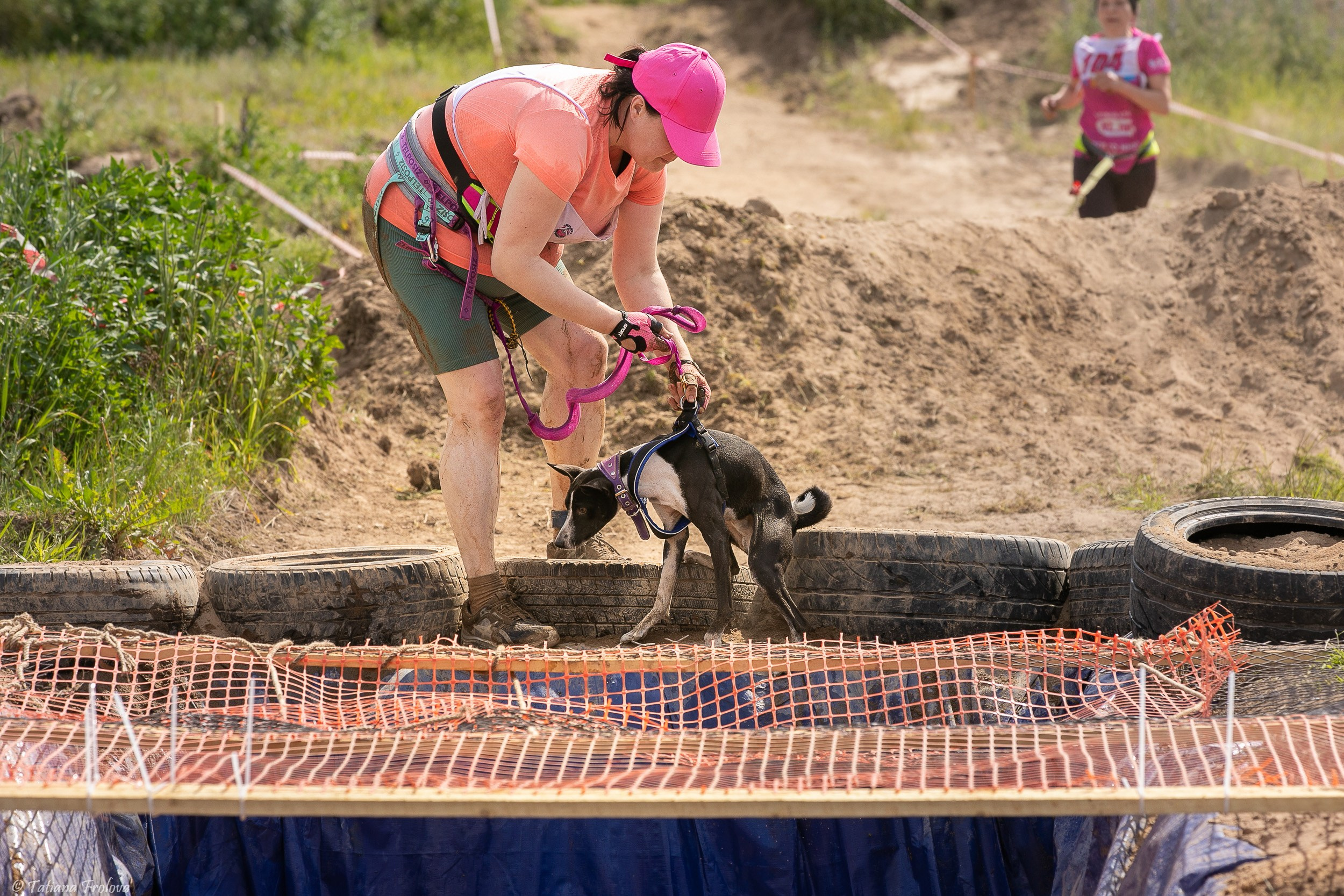 Фоторепортаж с забега с собаками. Фотограф-анималист в Москве и Московской области Татьяна Фролова