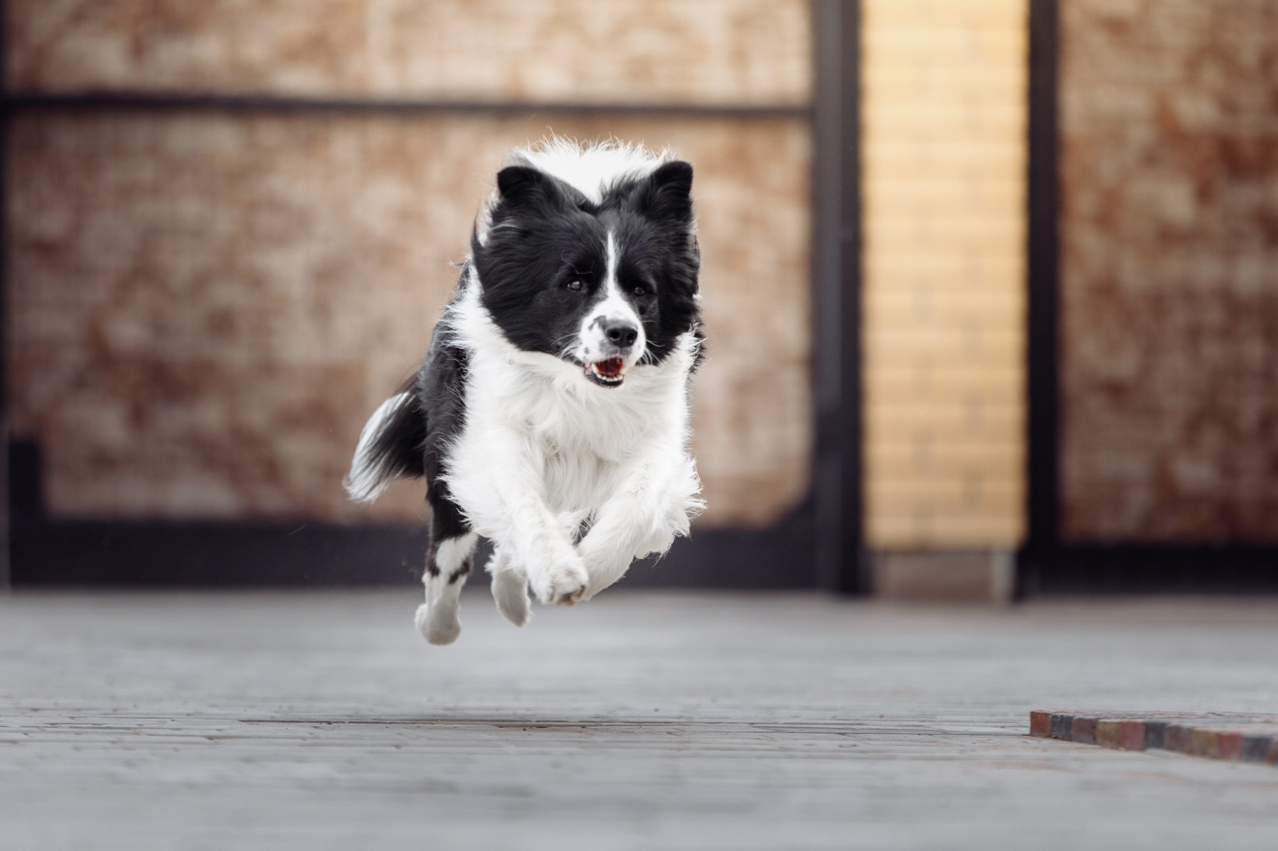 Свое место. О нас