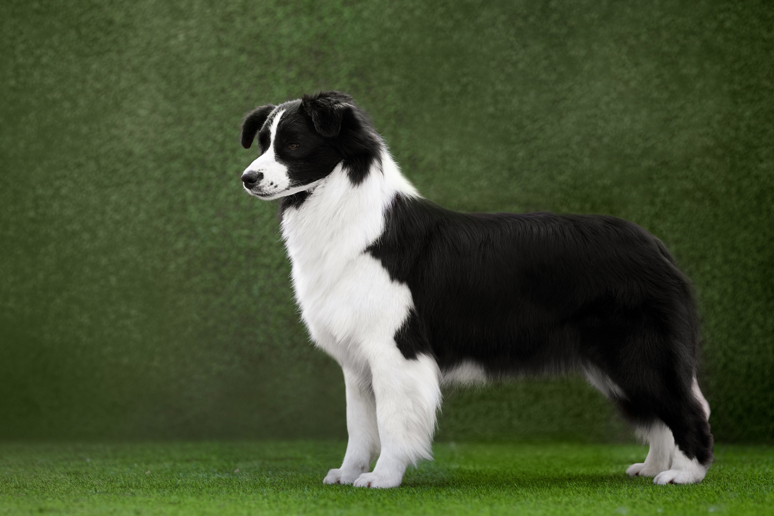 Роскошь в ростошах. О нас