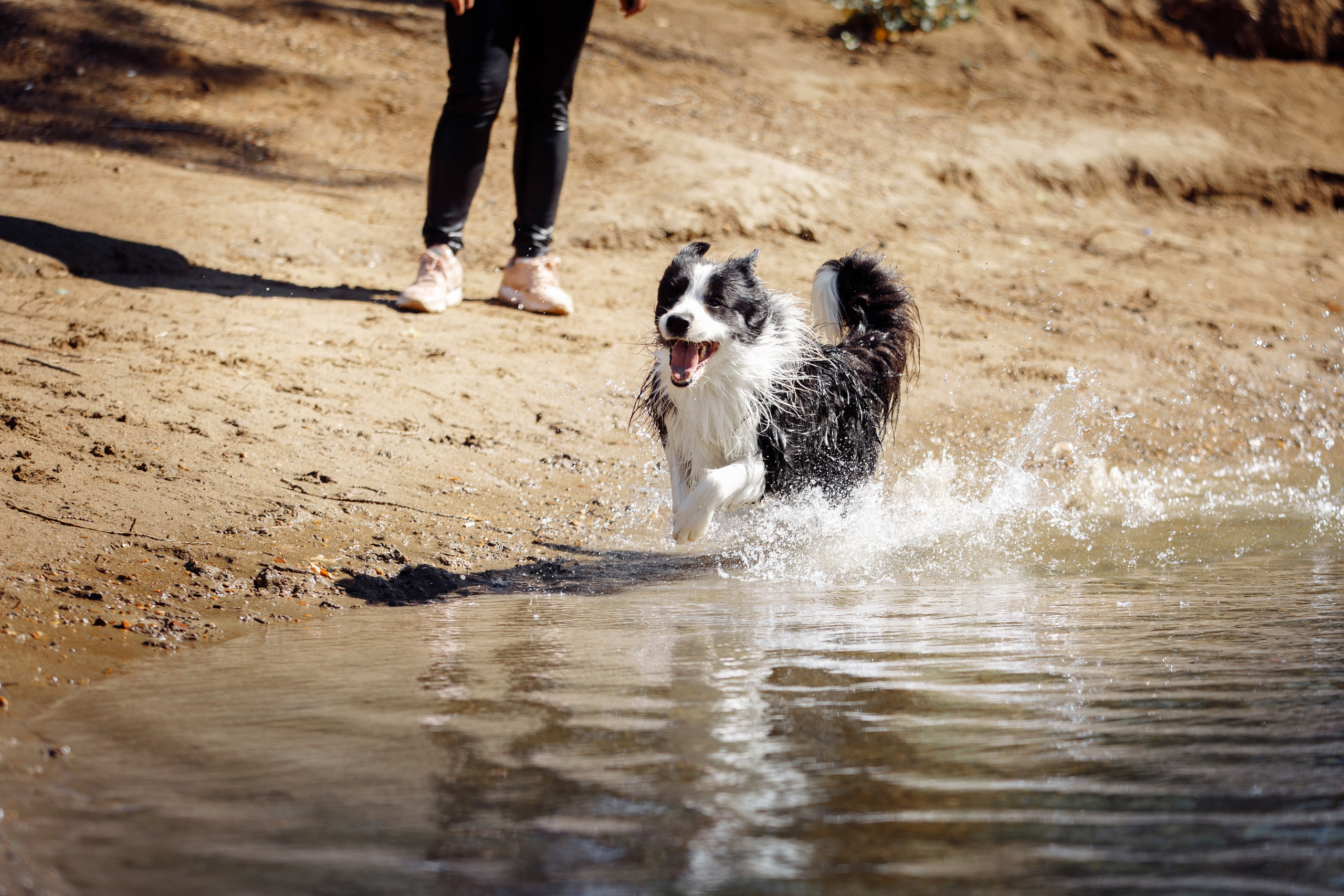 Водяные в Новотроицке. О нас