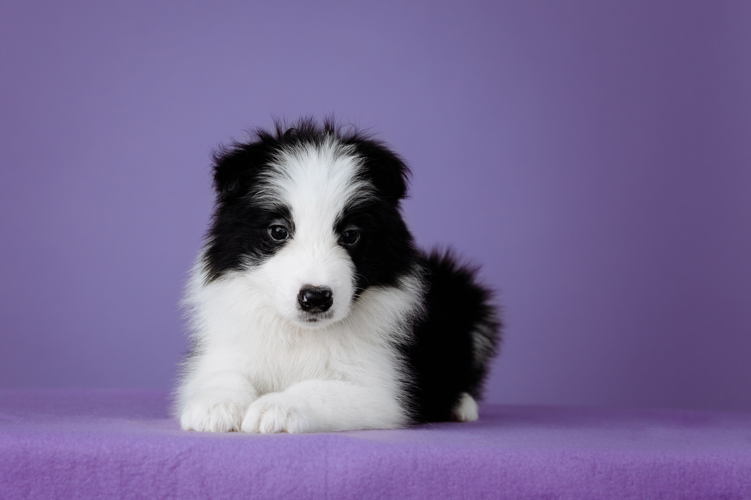 Март. Весна. 22. О нас