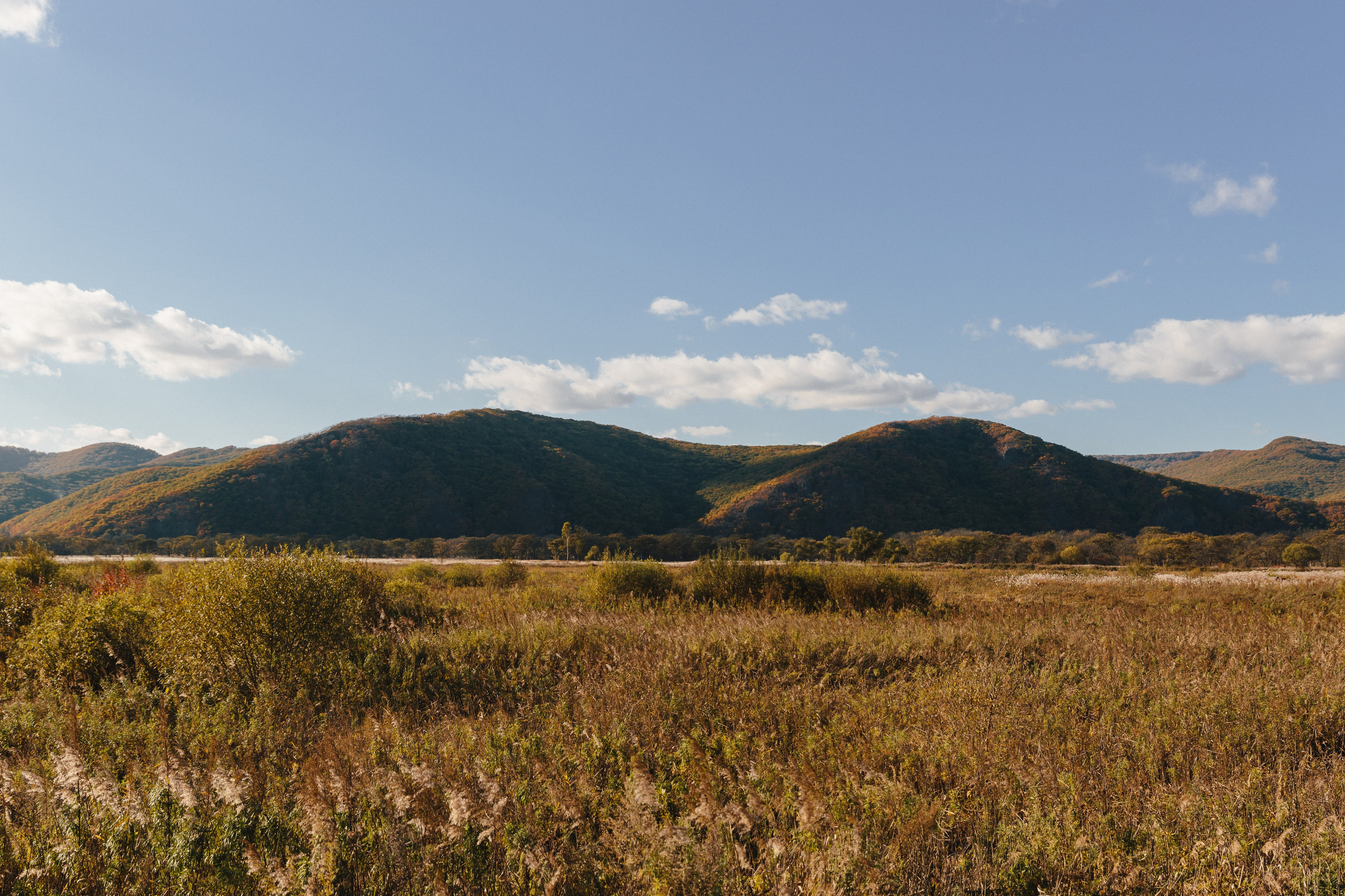 Осень. Свадебный и семейный фотограф Ворожейкин Олег. Фотографирую во Владиво