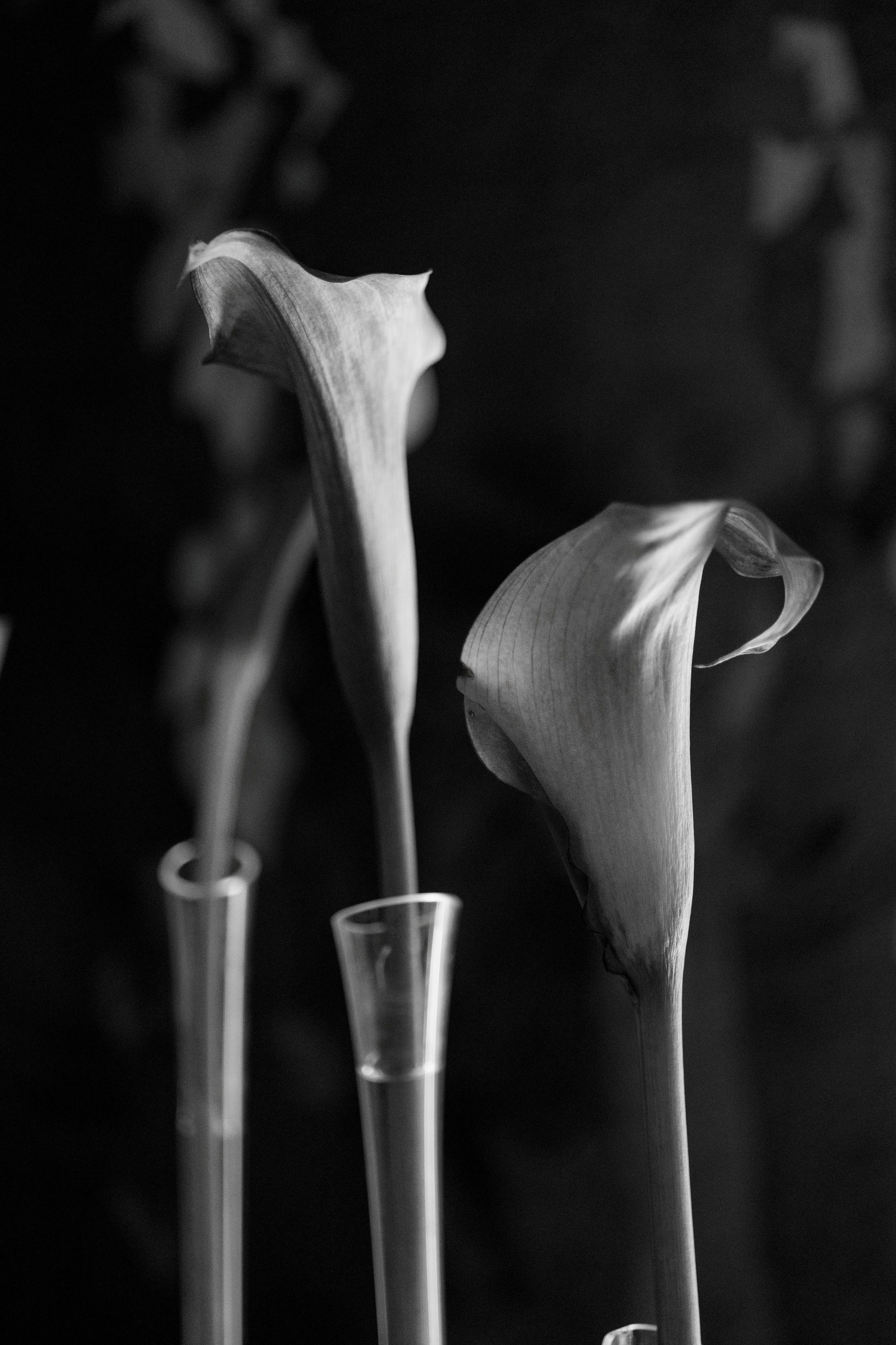 Портфолио репортаж. Репортжаный и свадебный фотограф Москва, Влада Азарова