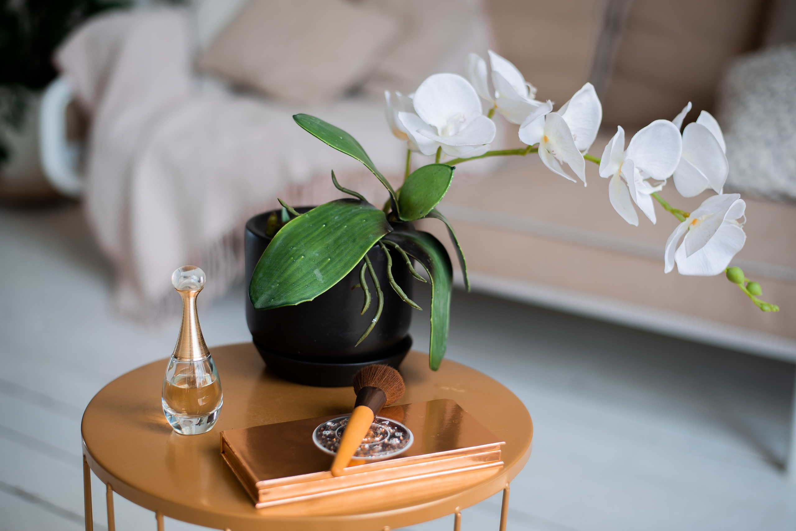 Дарья. Репортажный фотограф в Москве Alena Sfotkaet