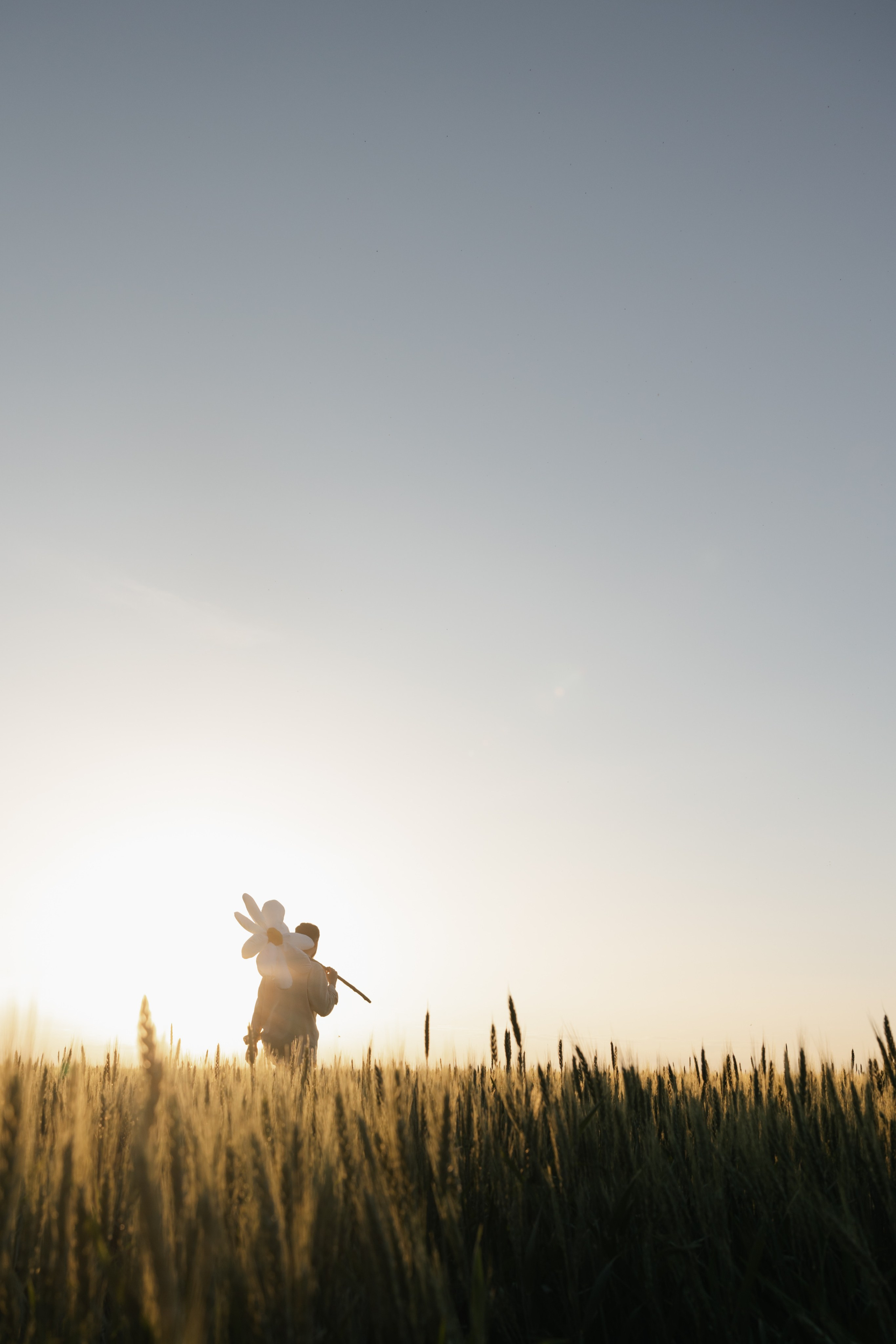 Ромашки. Свадебный фотограф Воронеж Москва СПБ