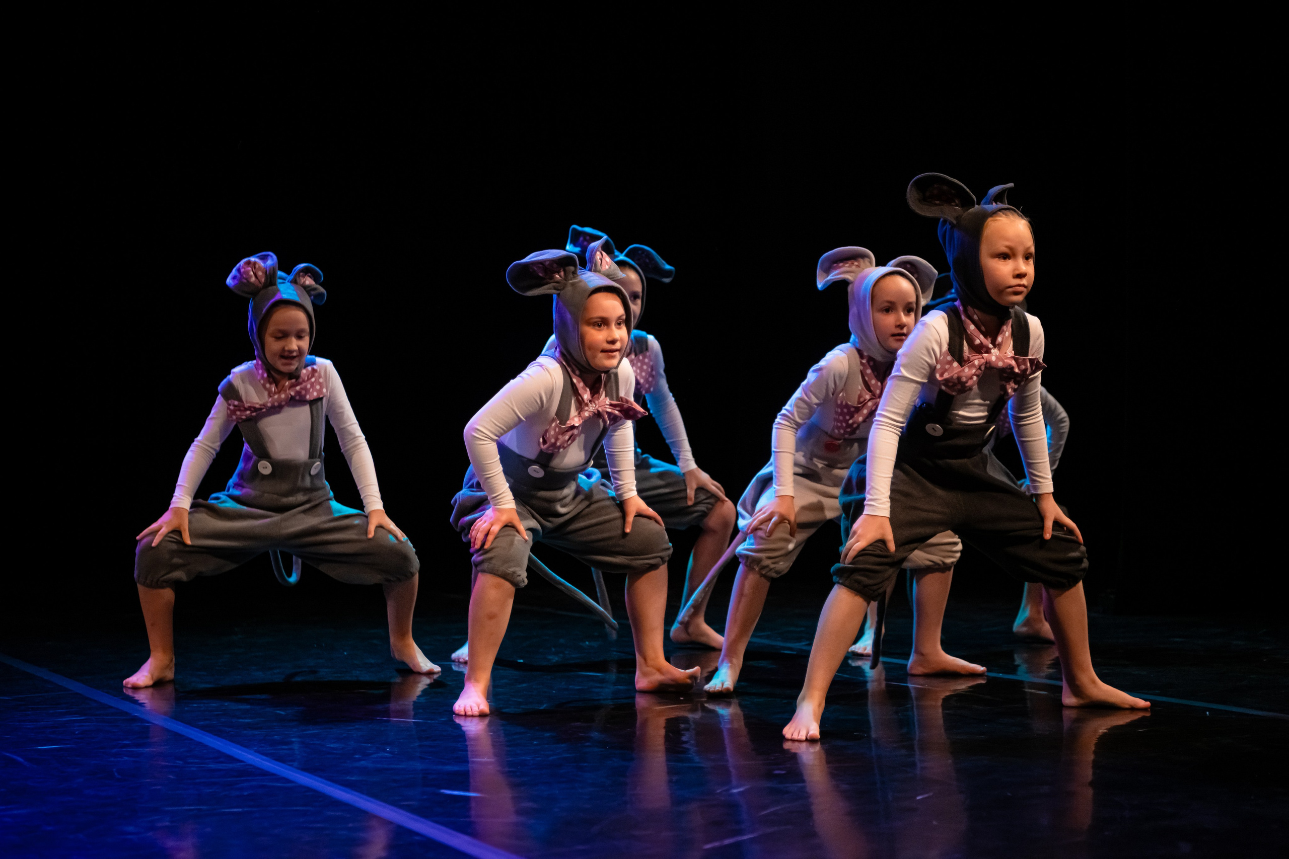 Зодиак. Семейный концерт. Репортажный фотограф в Санкт-Петербурге Алексеева Дарья