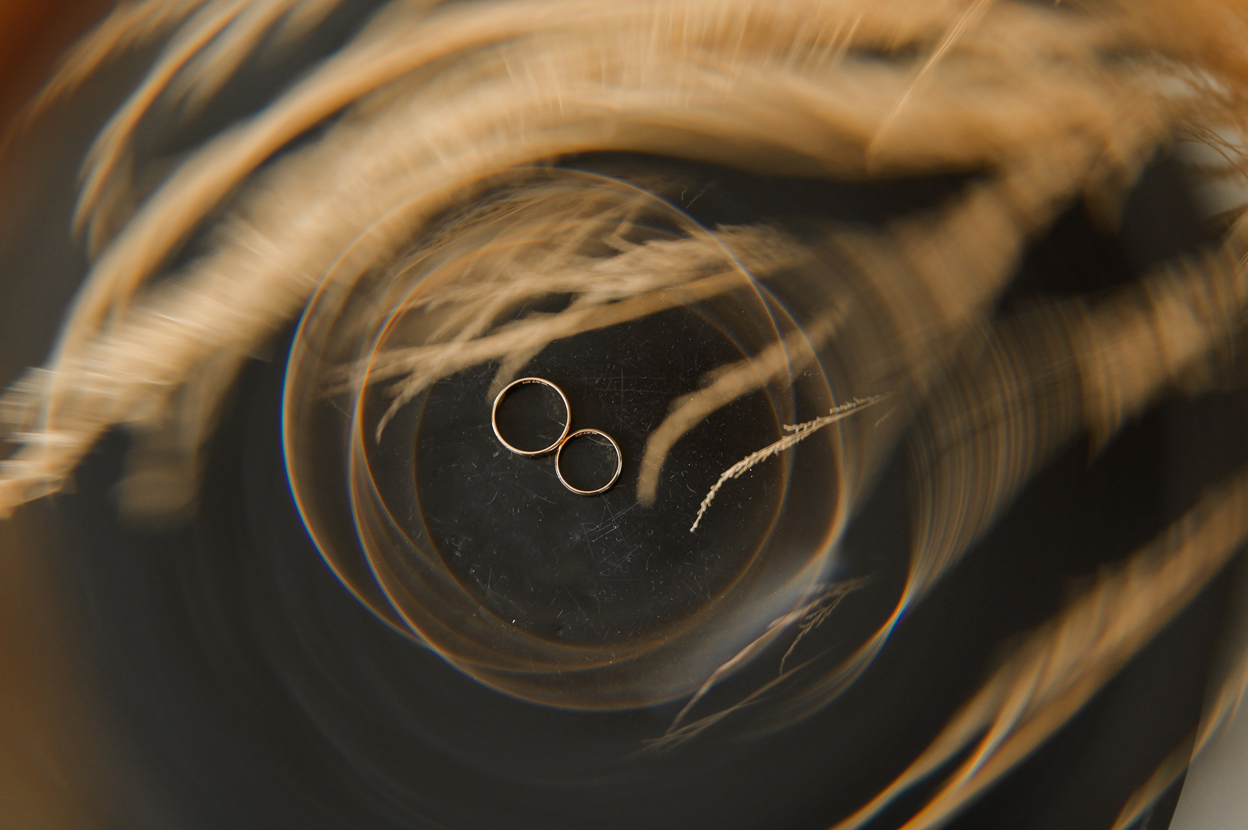 Адам&Вика. Свадебный фотограф в Санкт Петербурге Падерина Кристина