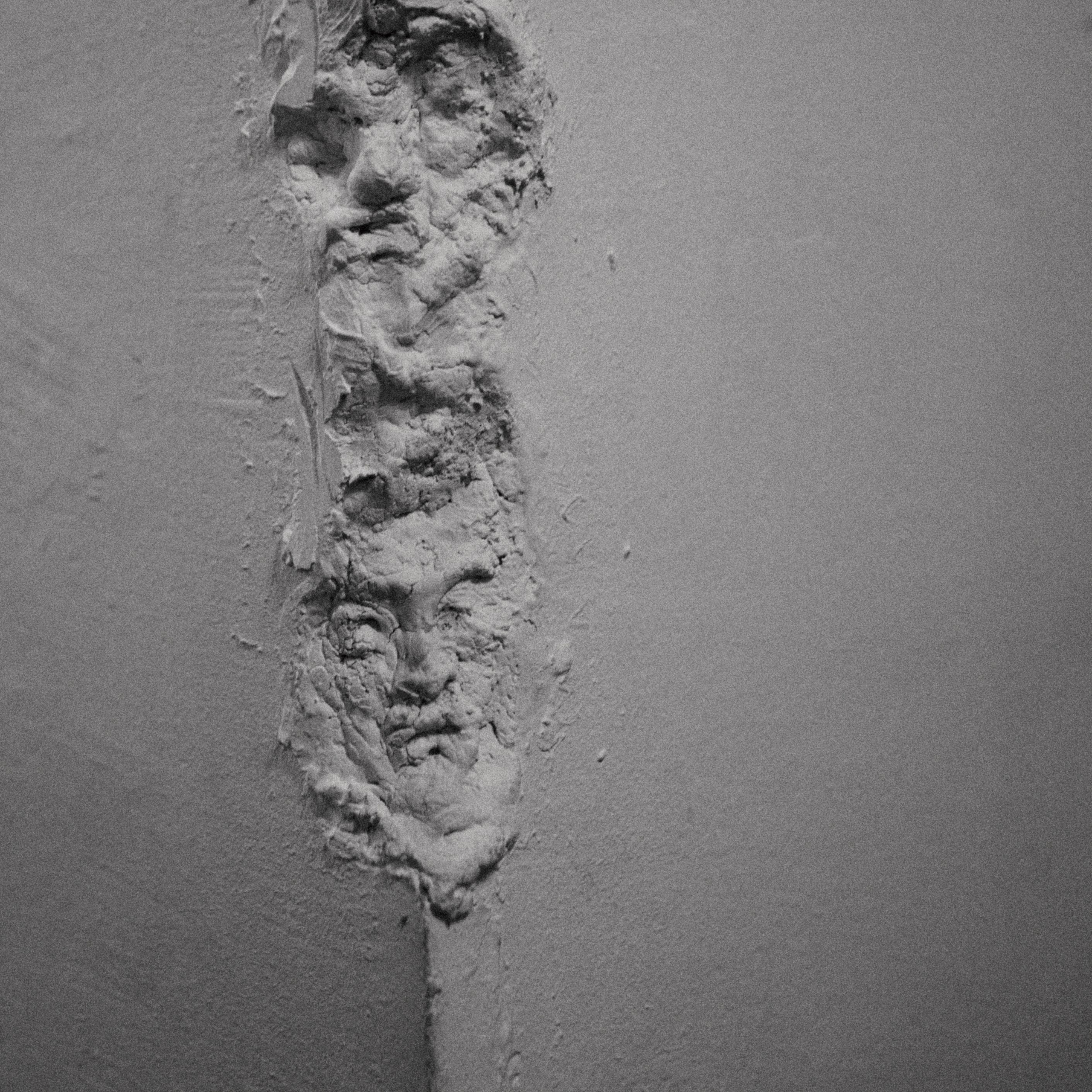 Фотохудожница fuarmuire