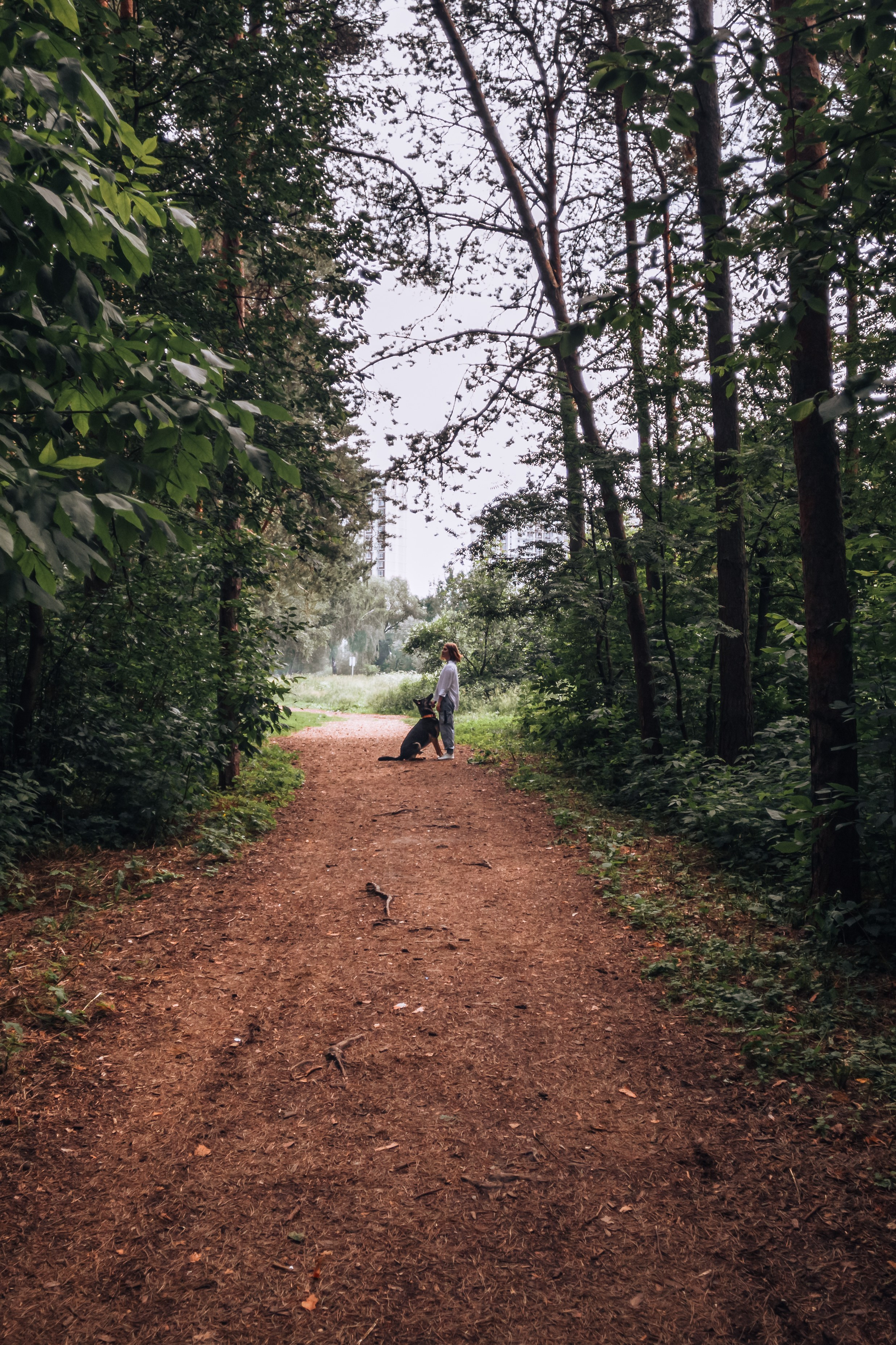 Лесная летняя фотопрогулка. Фотограф-анималист Татьяна Степанова