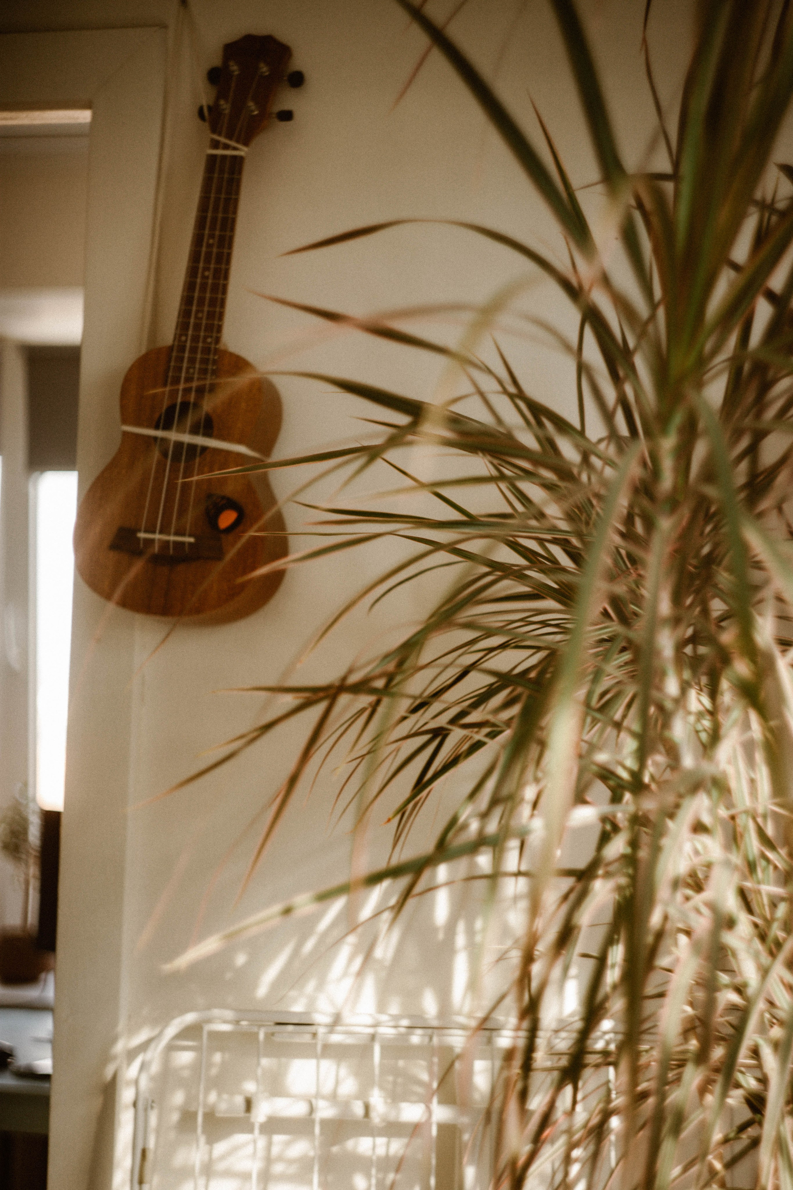 Миша. Матвей. Эмми. Фотограф в Нижнем Новгороде