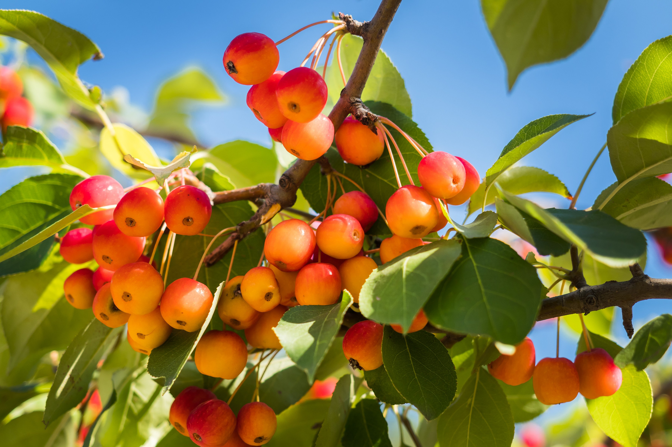 Красота Заречного. Репортажный, семейный и детский фотограф в Пензе и Заречном Арина Ермилова. Картины барельеф на заказ