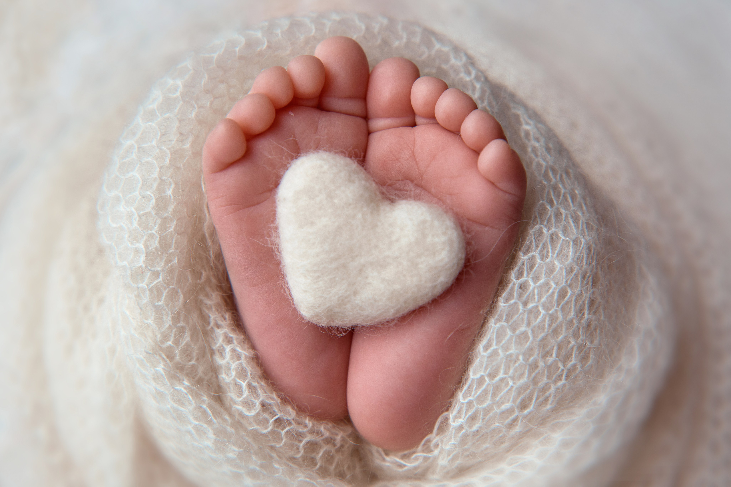 Тариф ПРЕМИУМ. Профессиональный фотограф новорождённых в Москве Елена Сатюкова