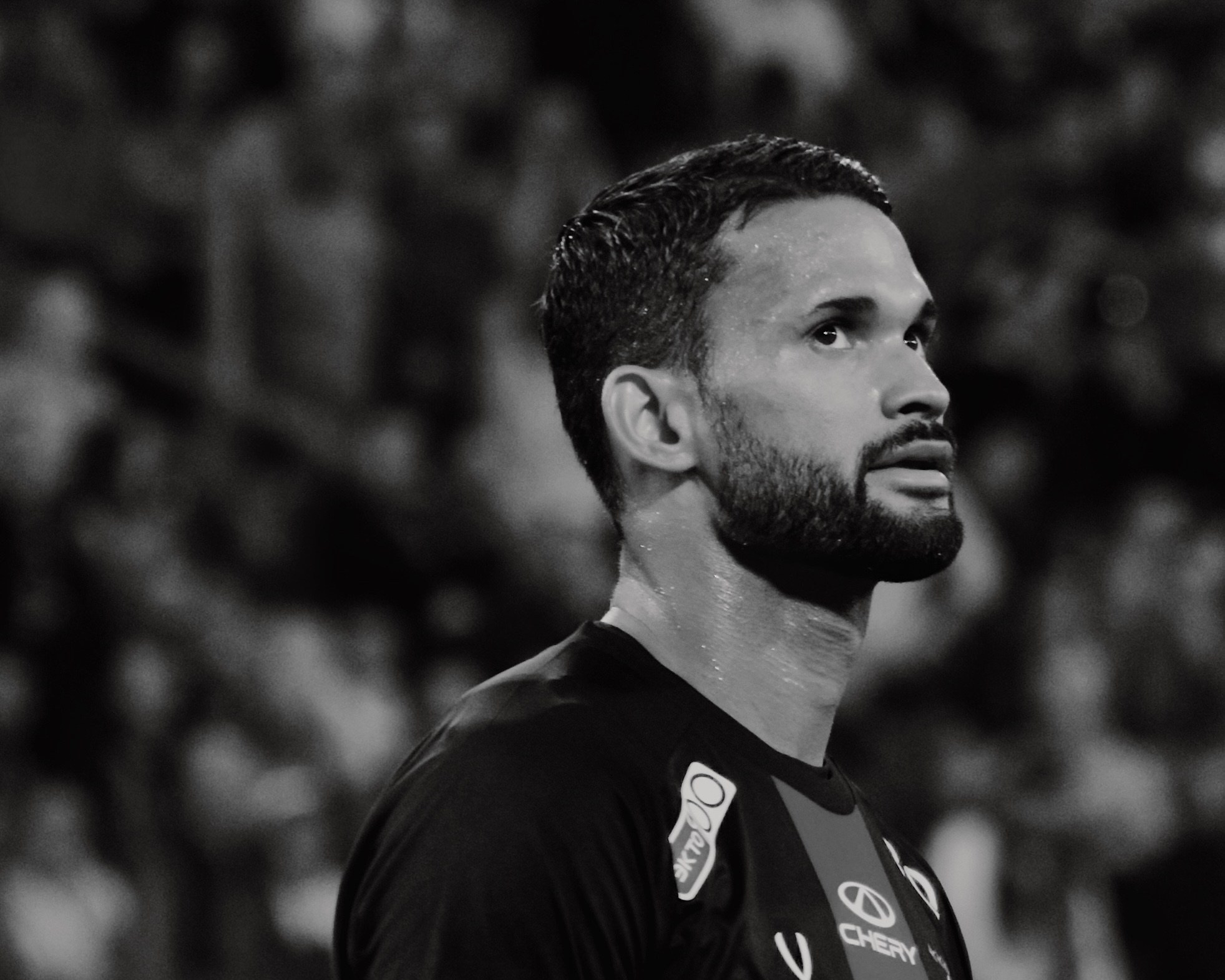 24/25. Татьян гертье