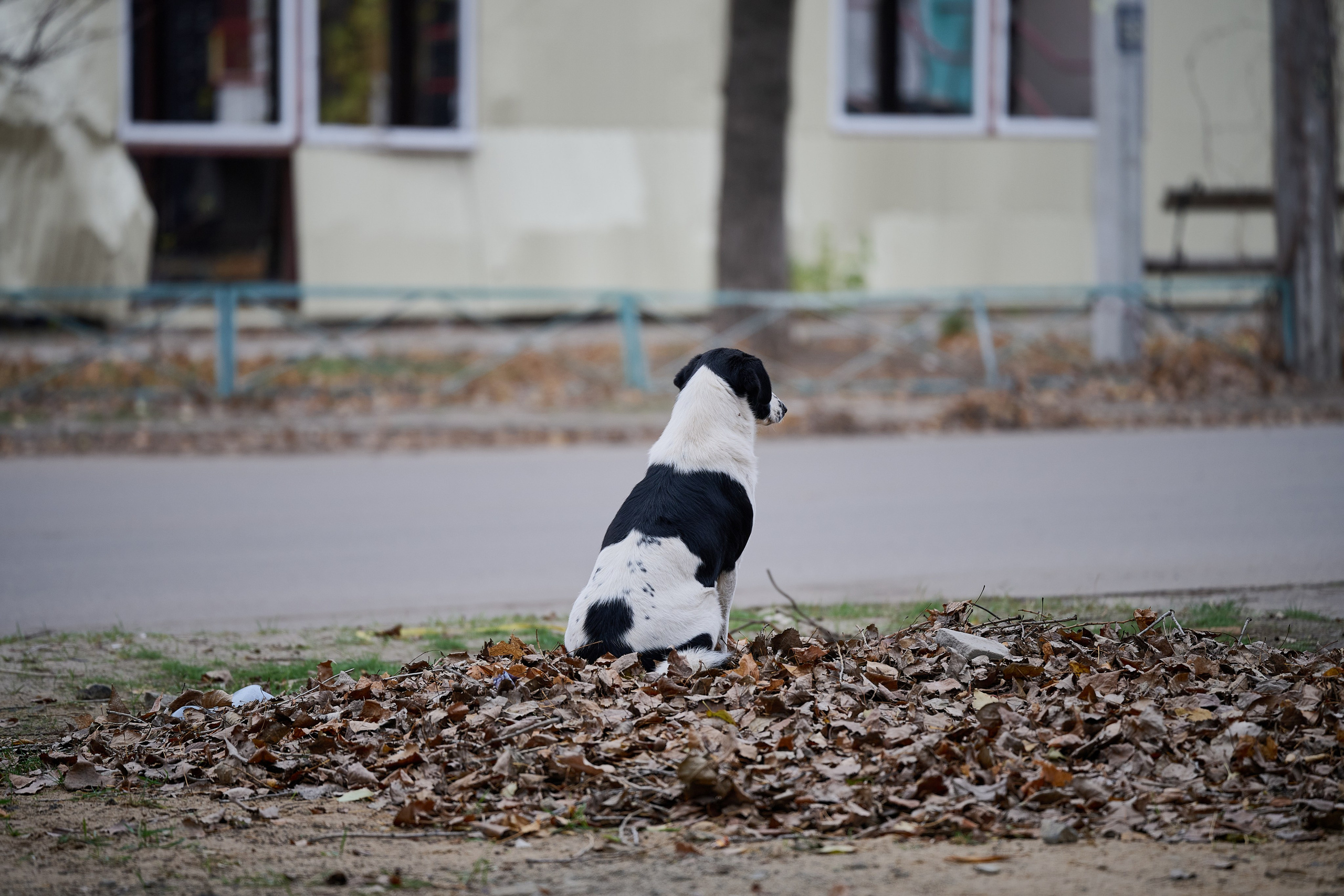 Фото для презентации фотопроекта «Территории». Фотопроект «Территории»