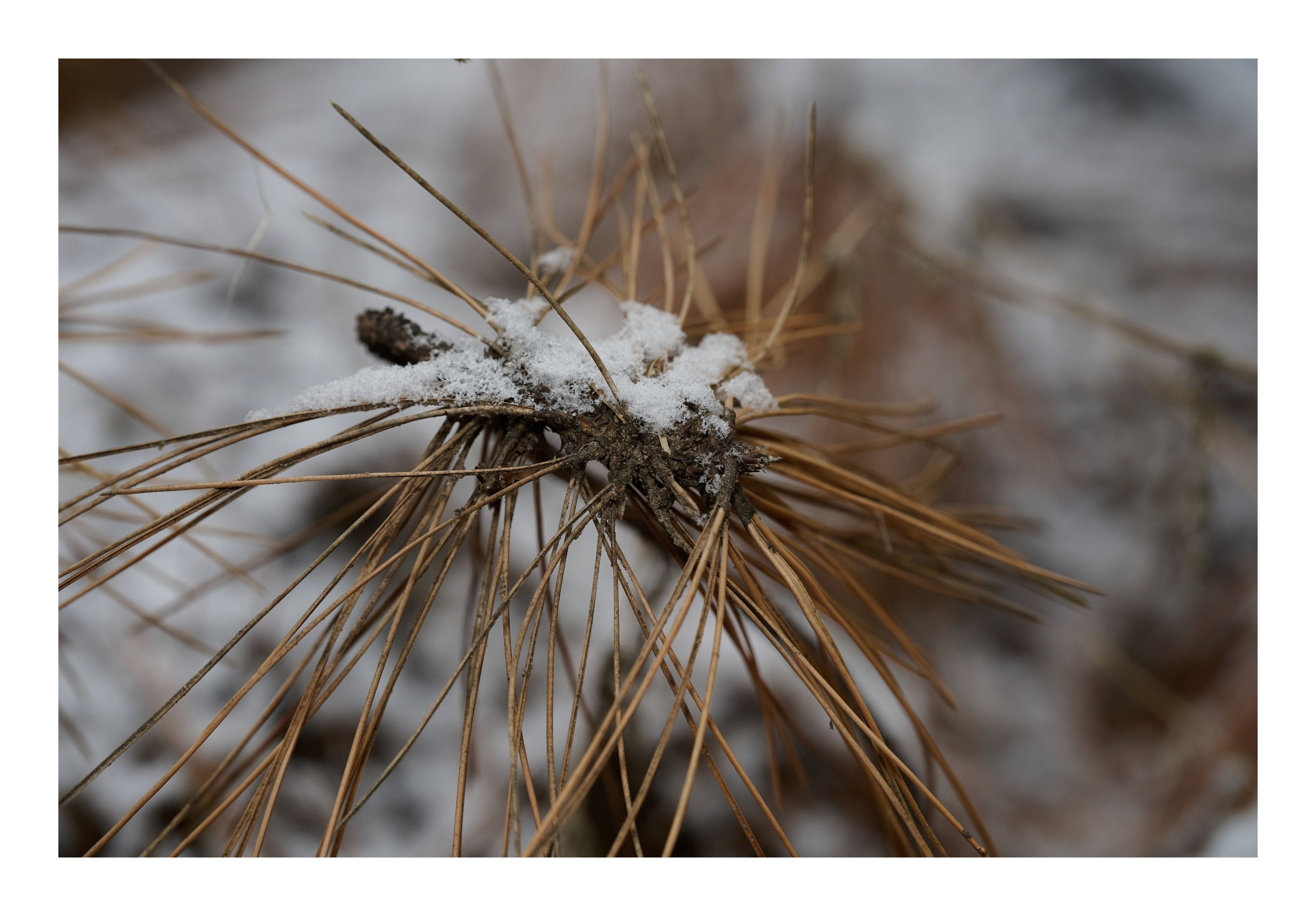 Фотопринты А3. Фотопроект «Территории»