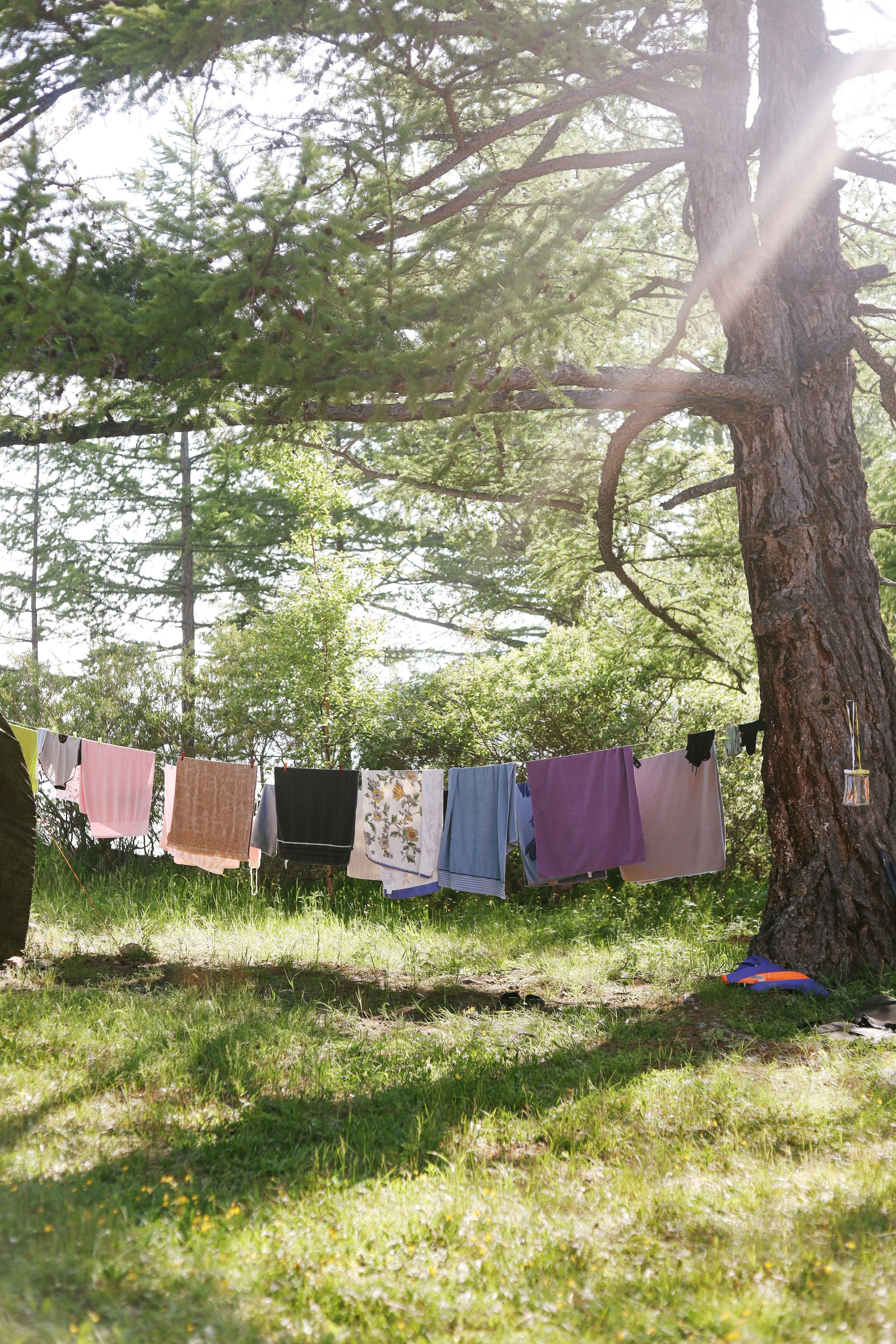 Лето 2024 / палатки. 1642 — первый лагерь для взрослых на Байкале