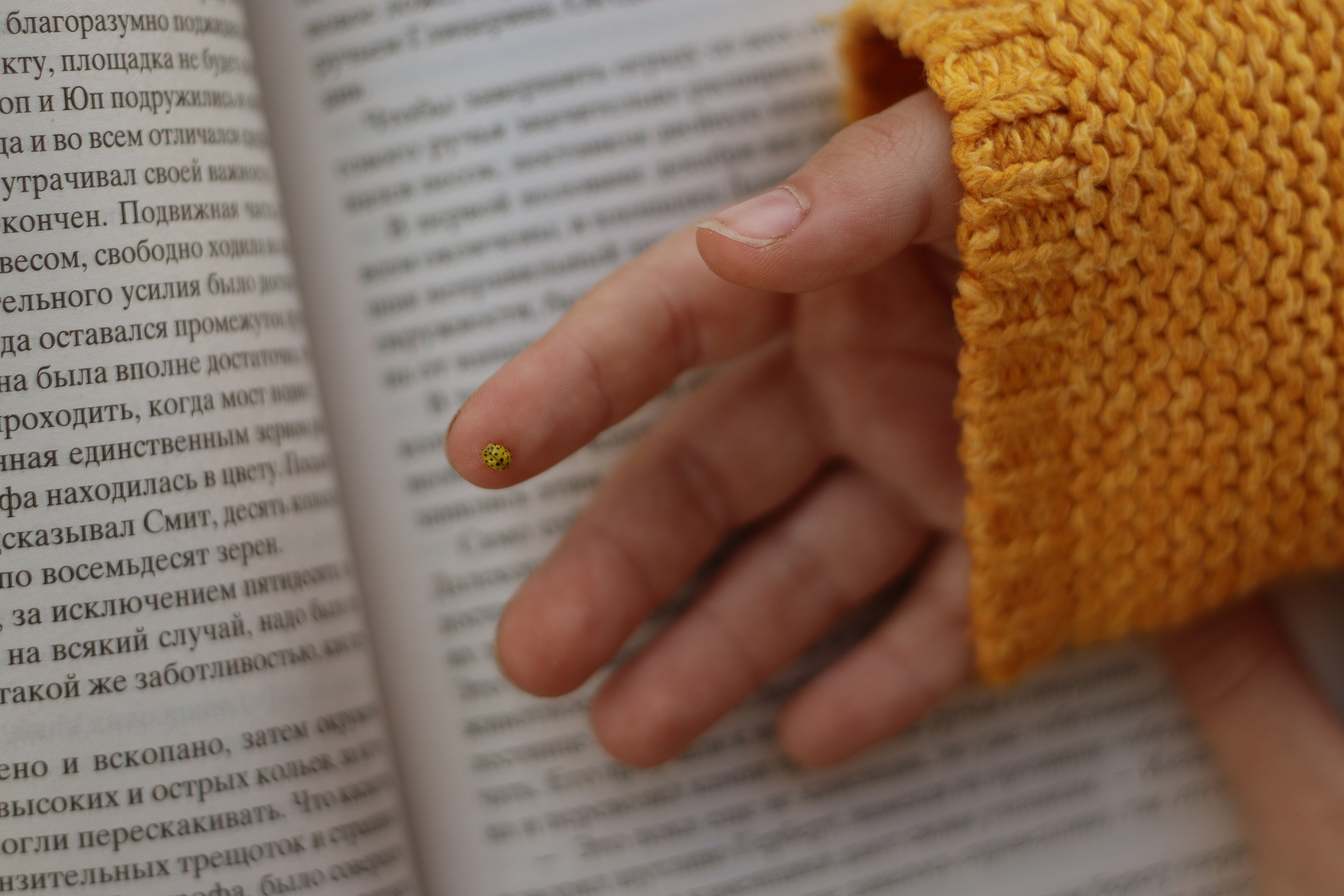 Детская фотография. Семейная и детская фотография в Плешаново. Валерия Вибе