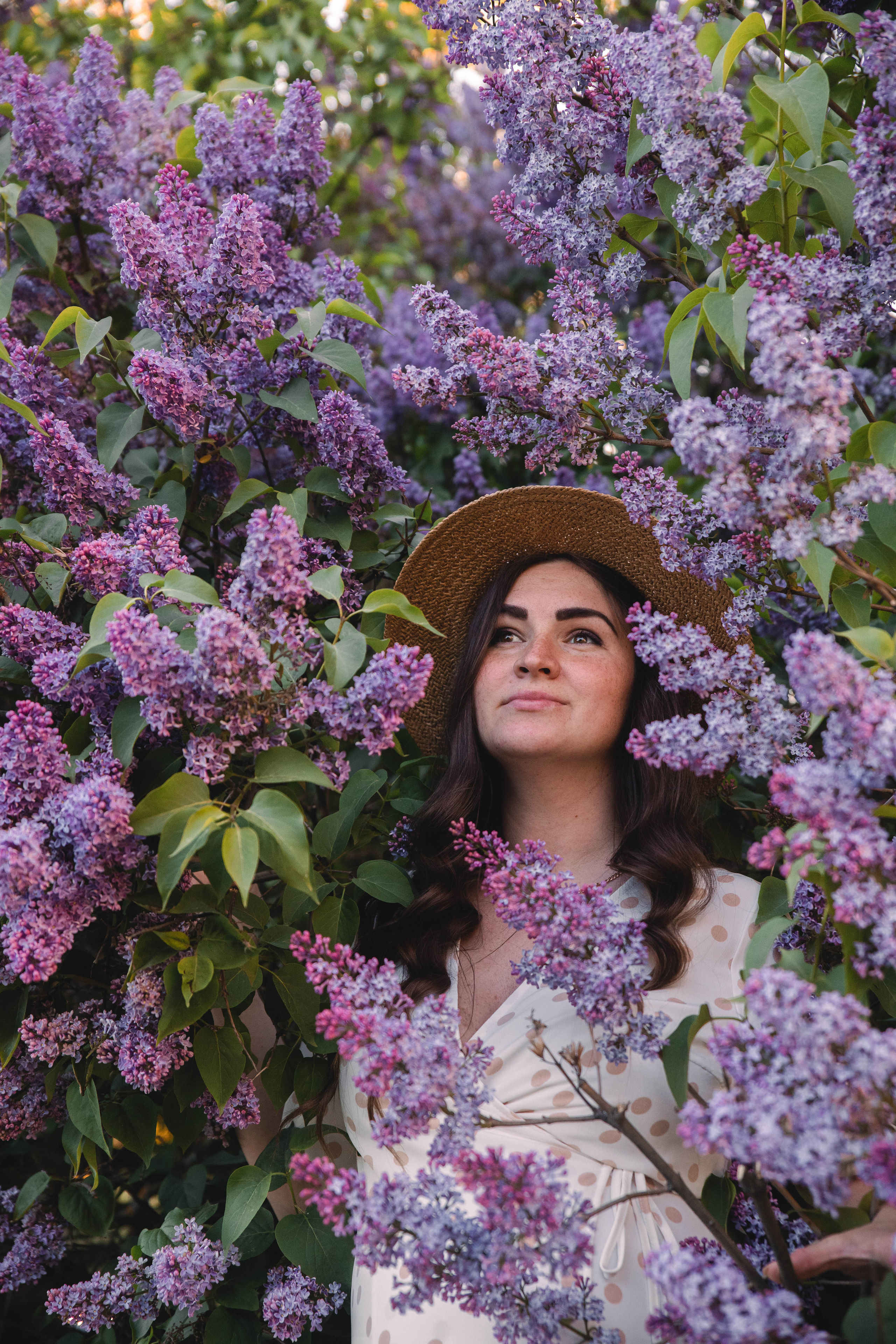 Сирень. Фотограф в Кронштадте и Санкт-Петербурге Анастасия Коваленко