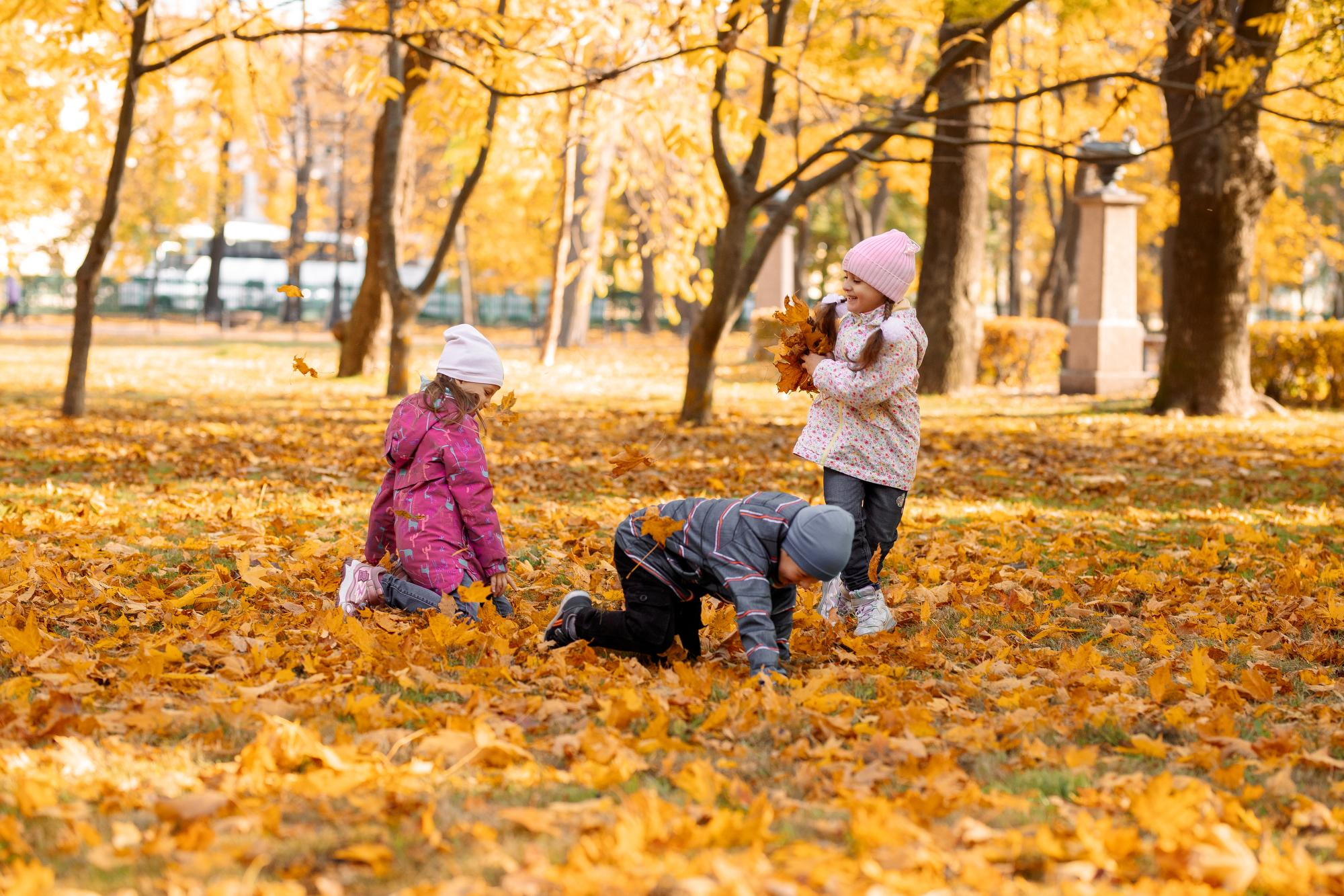 Детский сад. Осень. Для альбома. Фотограф в Кронштадте и Санкт-Петербурге Анастасия Коваленко