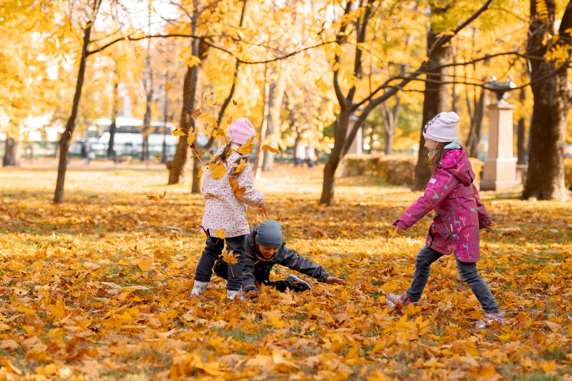 Детский сад. Осень. Для альбома. Фотограф в Кронштадте и Санкт-Петербурге Анастасия Коваленко