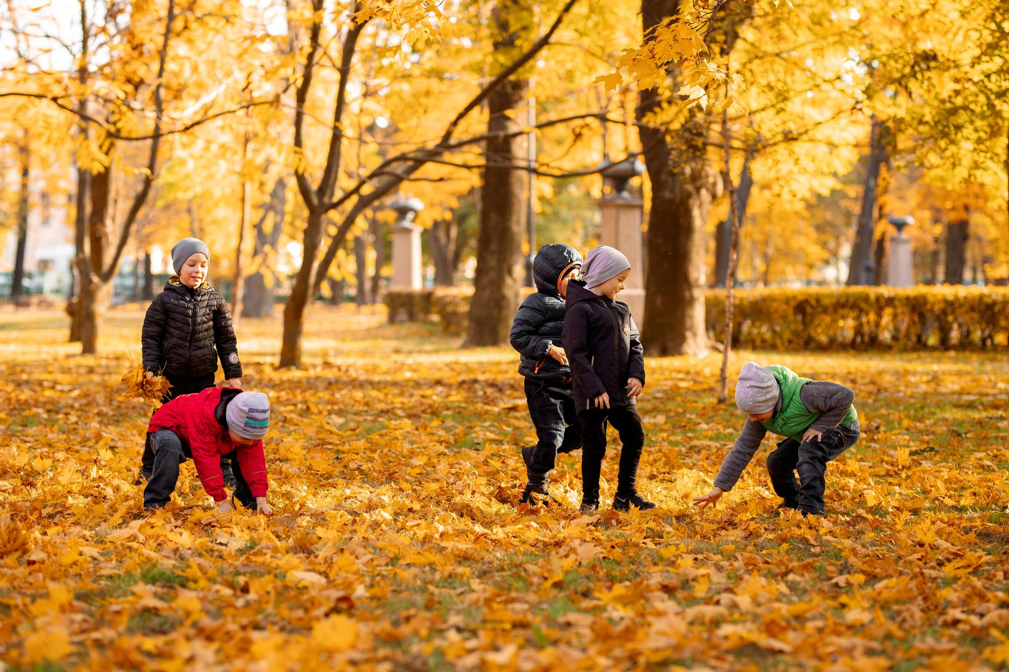 Детский сад. Осень. Для альбома. Фотограф в Кронштадте и Санкт-Петербурге Анастасия Коваленко