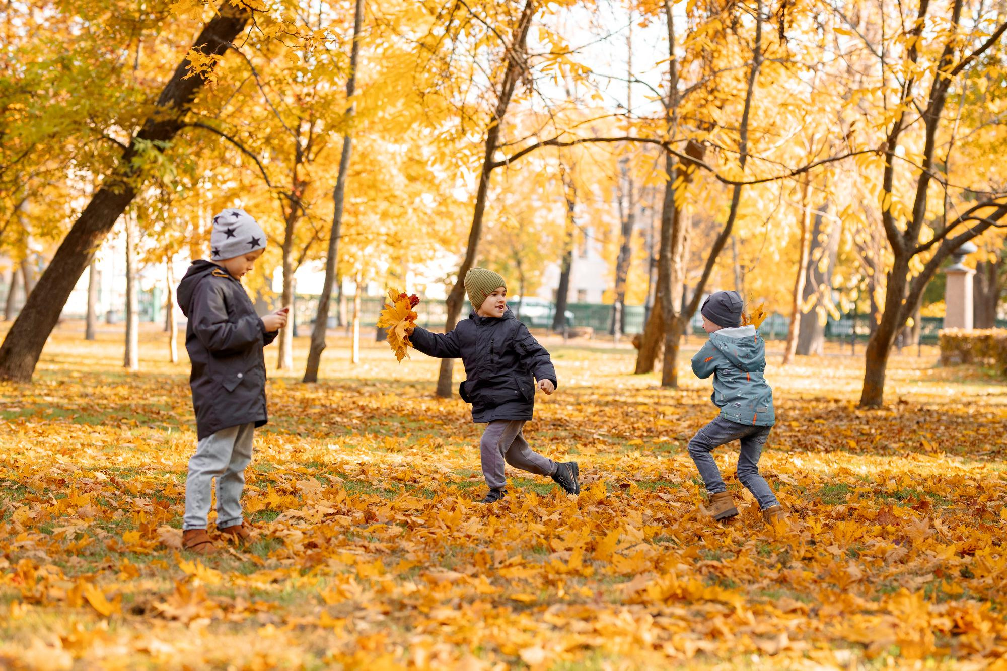 Детский сад. Осень. Для альбома. Фотограф в Кронштадте и Санкт-Петербурге Анастасия Коваленко