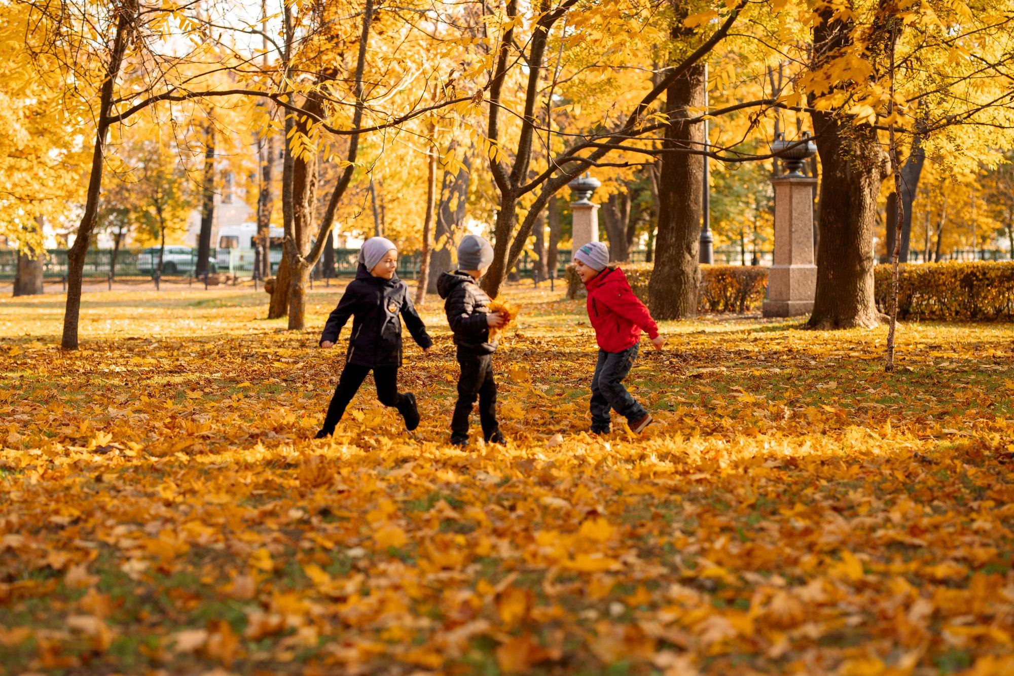Детский сад. Осень. Для альбома. Фотограф в Кронштадте и Санкт-Петербурге Анастасия Коваленко