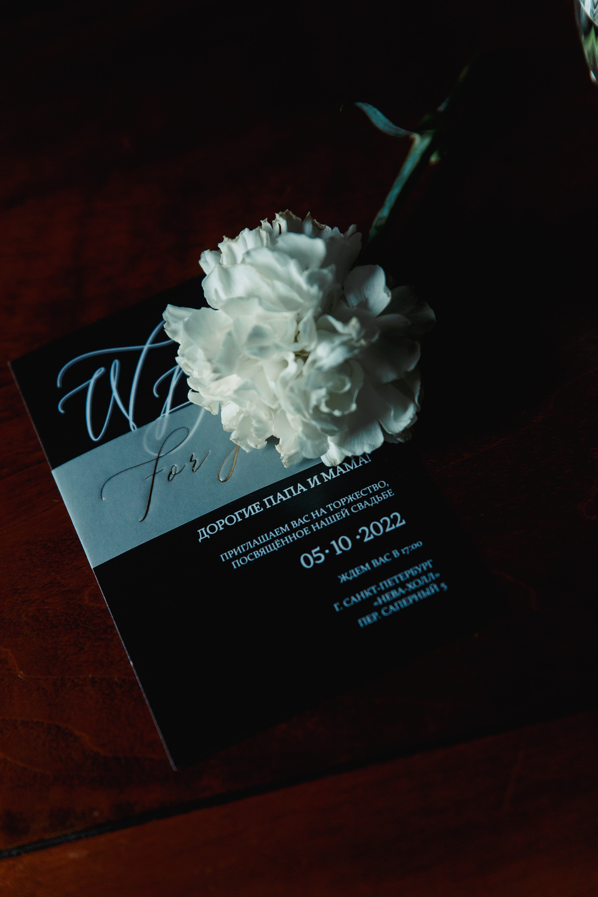 Рыжий октябрь. Фотограф в Кронштадте и Санкт-Петербурге Анастасия Коваленко