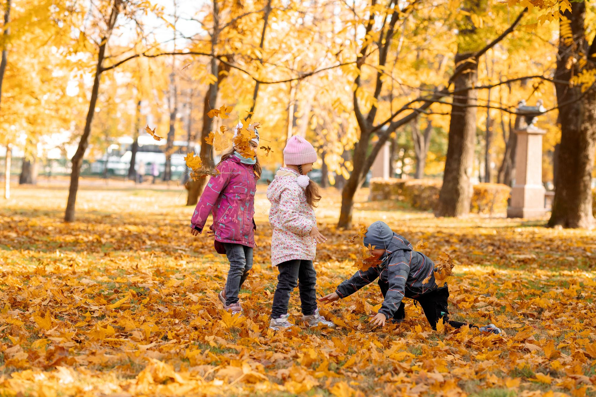 Детский сад. Осень. Для альбома. Фотограф в Кронштадте и Санкт-Петербурге Анастасия Коваленко