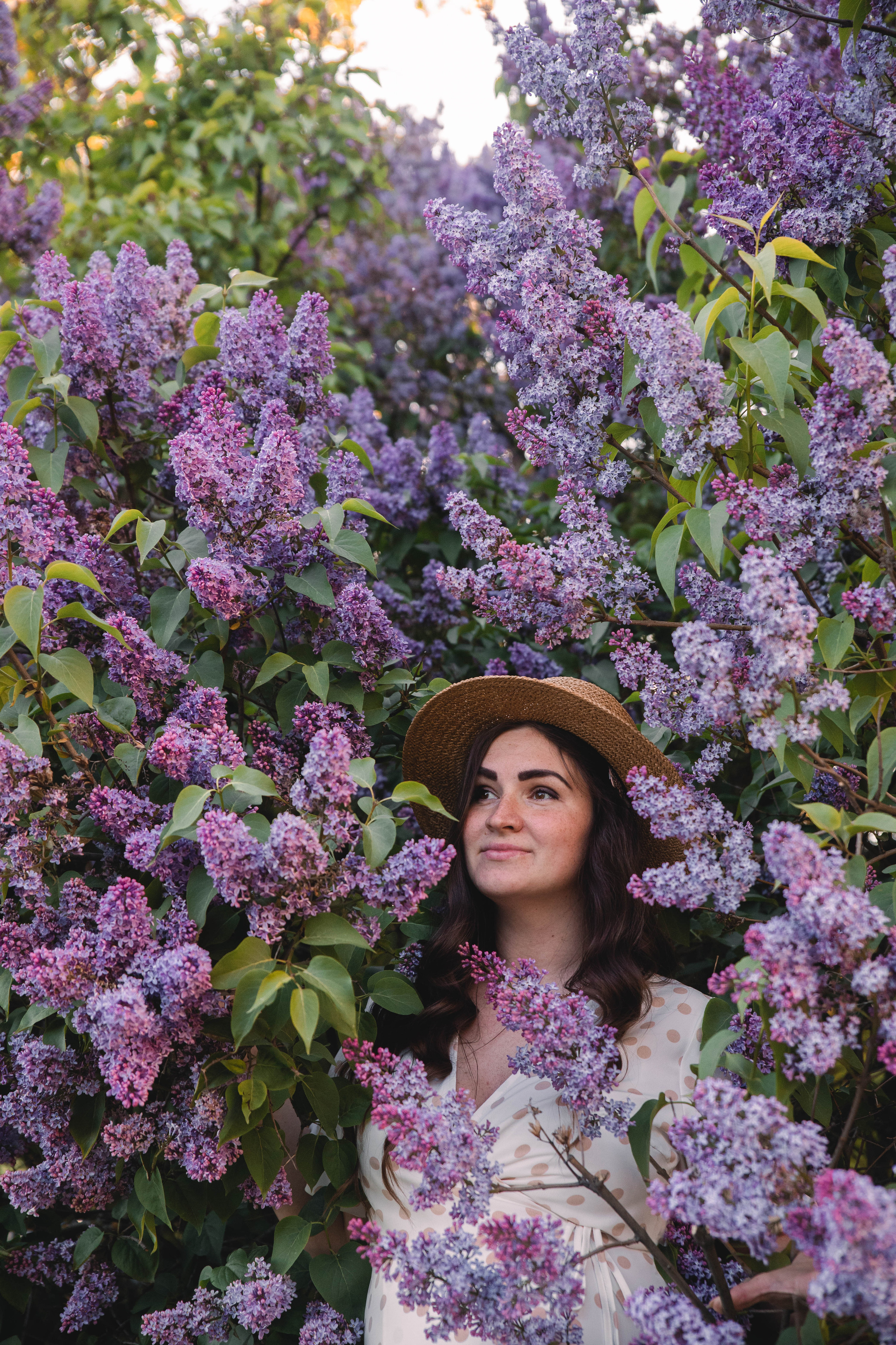 Сирень. Фотограф в Кронштадте и Санкт-Петербурге Анастасия Коваленко