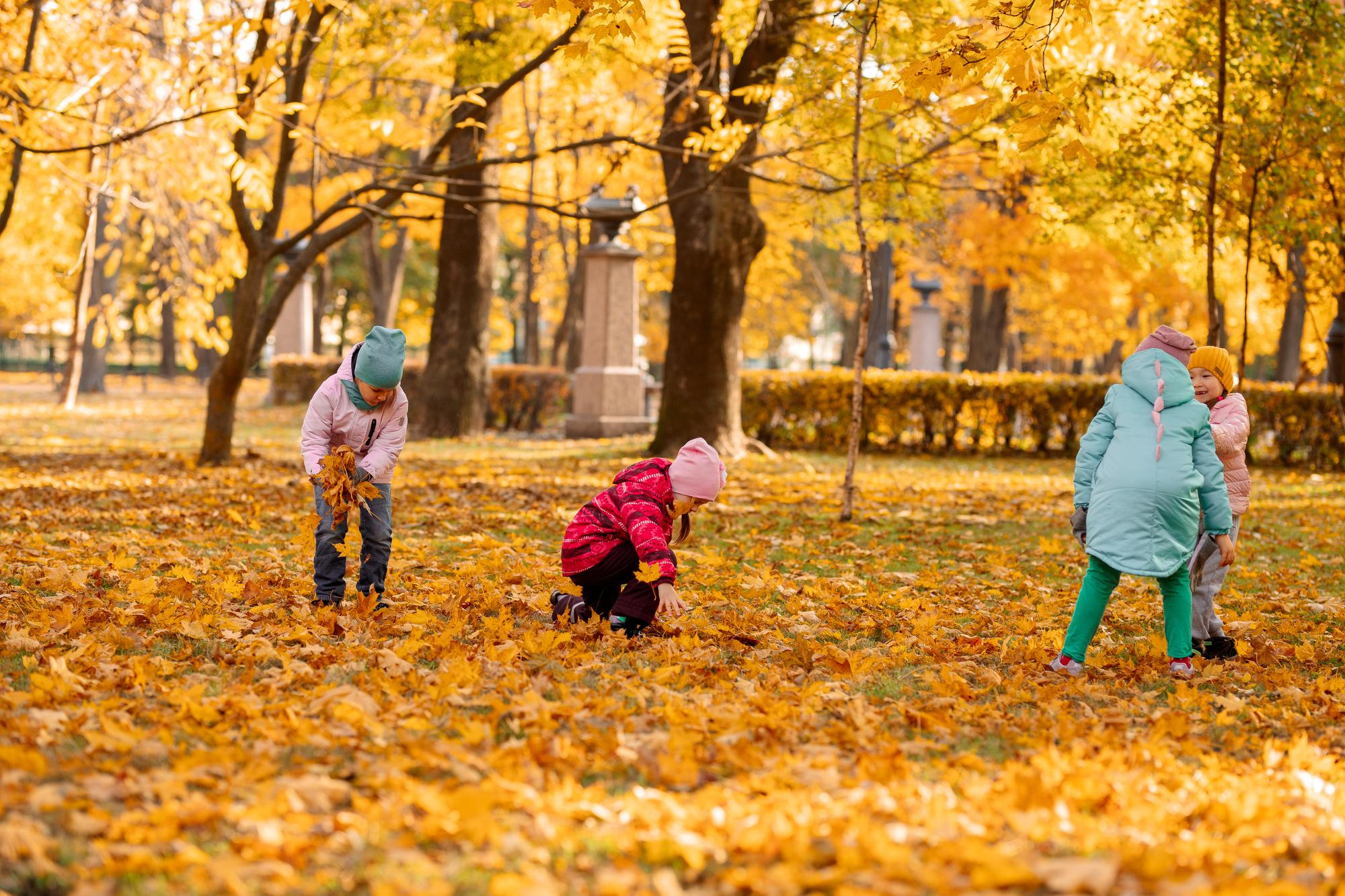 Детский сад. Осень. Для альбома. Фотограф в Кронштадте и Санкт-Петербурге Анастасия Коваленко