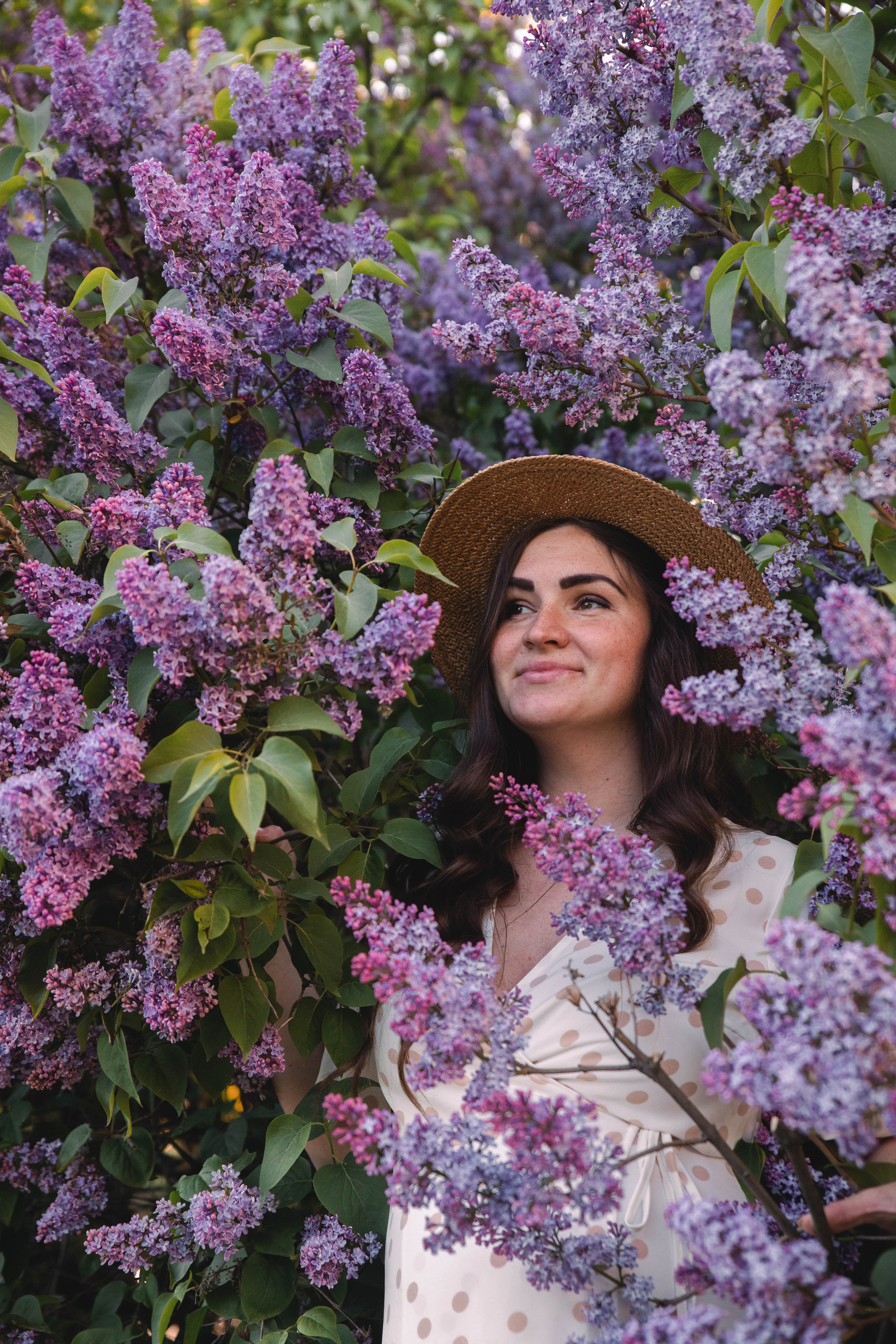 Сирень. Фотограф в Кронштадте и Санкт-Петербурге Анастасия Коваленко