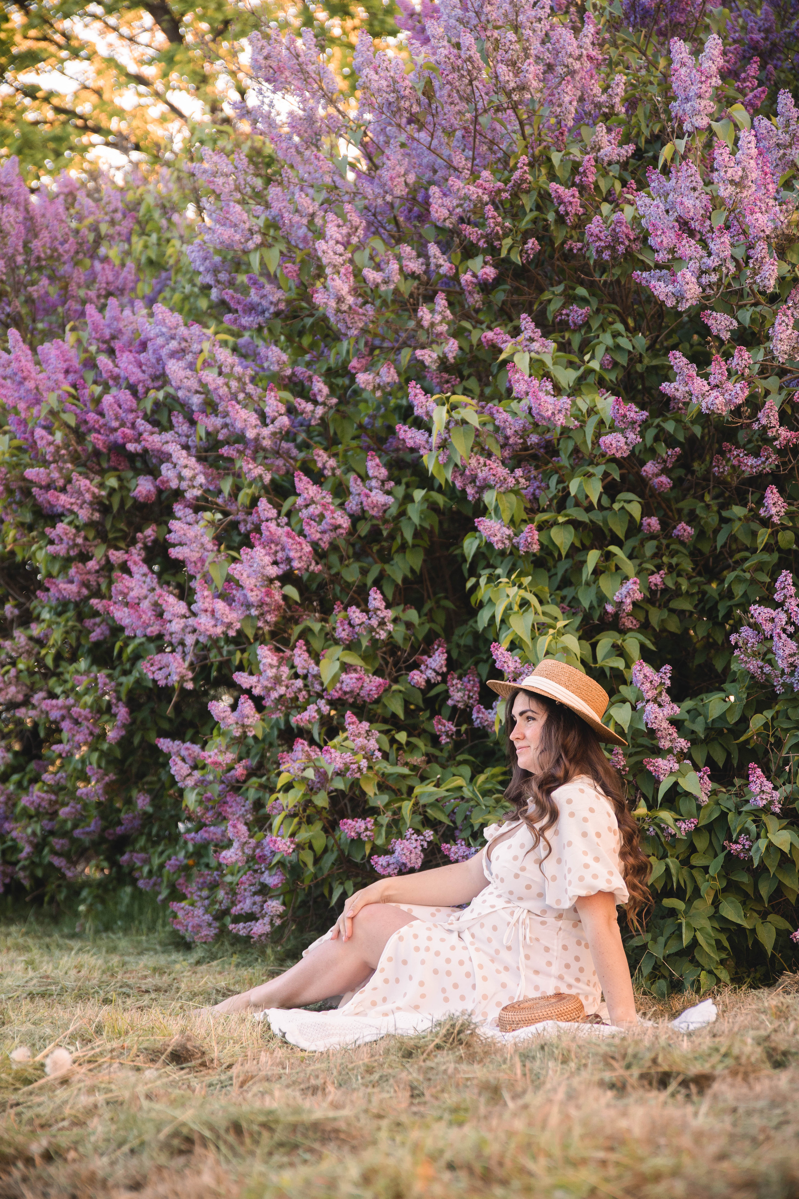 Сирень. Фотограф в Кронштадте и Санкт-Петербурге Анастасия Коваленко