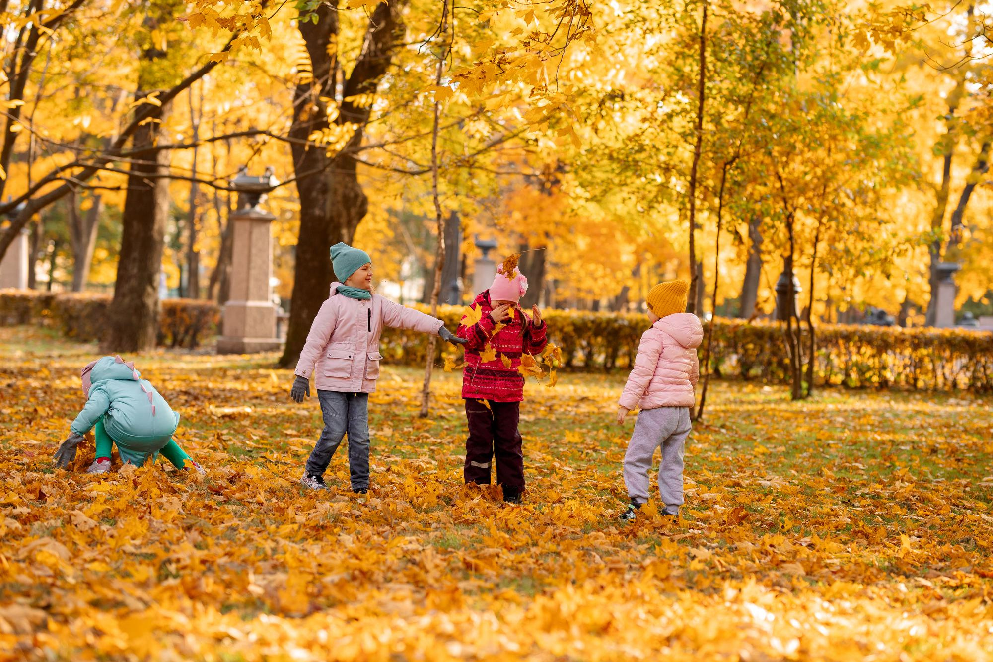 Детский сад. Осень. Для альбома. Фотограф в Кронштадте и Санкт-Петербурге Анастасия Коваленко