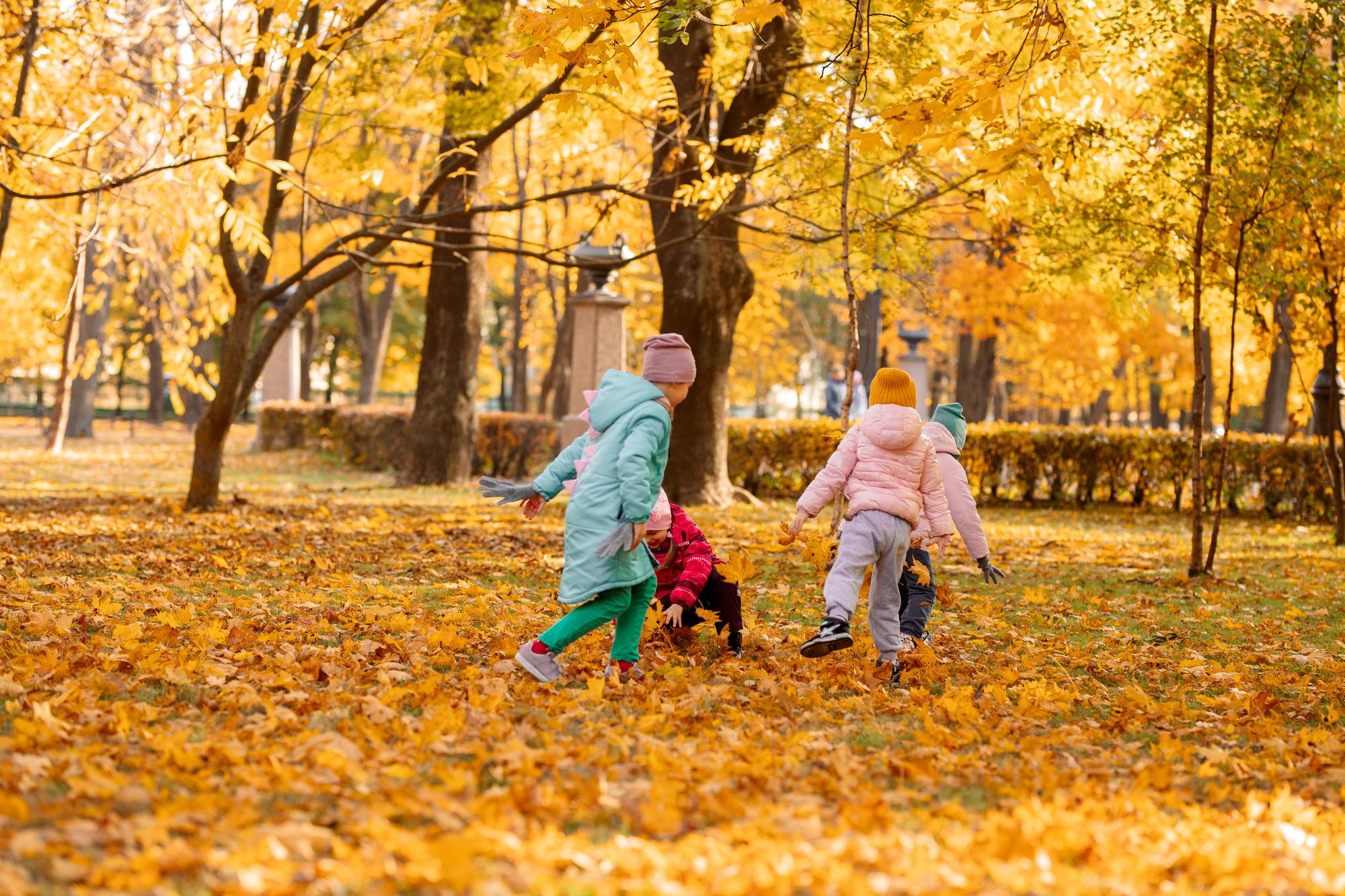 Детский сад. Осень. Для альбома. Фотограф в Кронштадте и Санкт-Петербурге Анастасия Коваленко