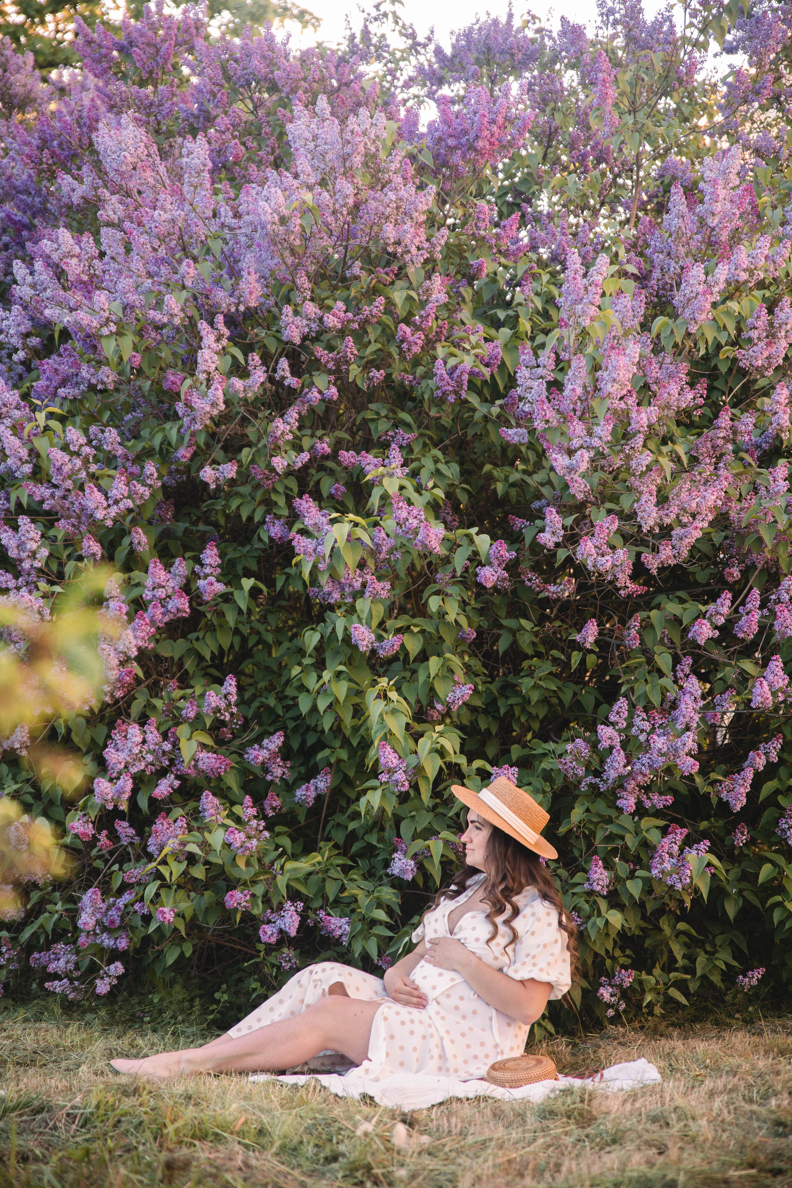 Сирень. Фотограф в Кронштадте и Санкт-Петербурге Анастасия Коваленко