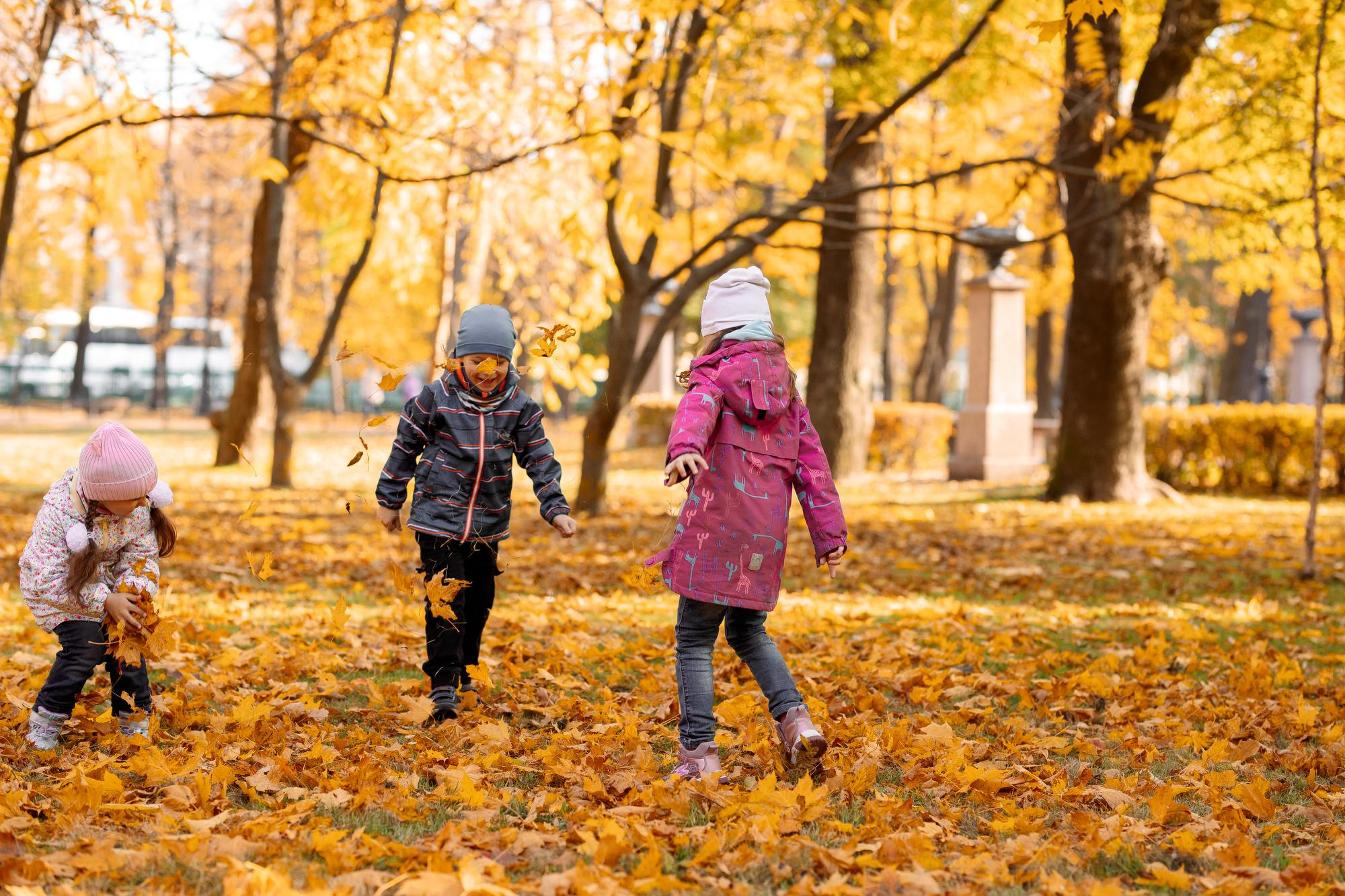 Детский сад. Осень. Для альбома. Фотограф в Кронштадте и Санкт-Петербурге Анастасия Коваленко