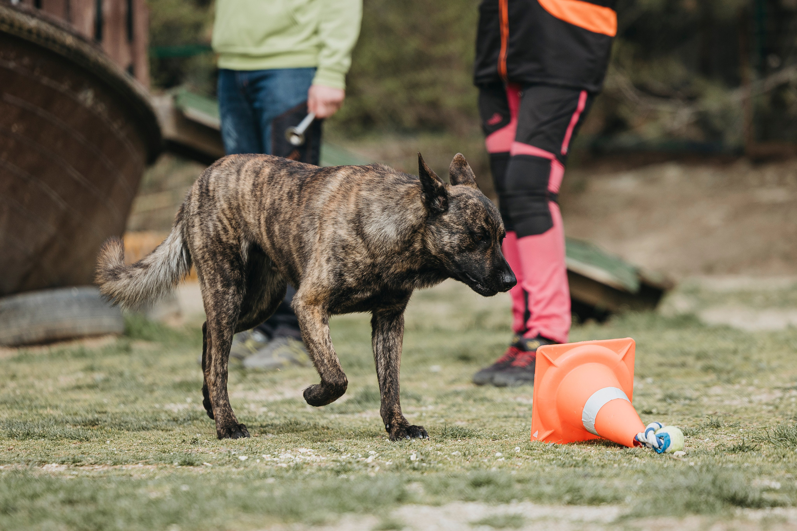 Геленджик Мондьоринг. Фотограф-анималист Анна Маринич