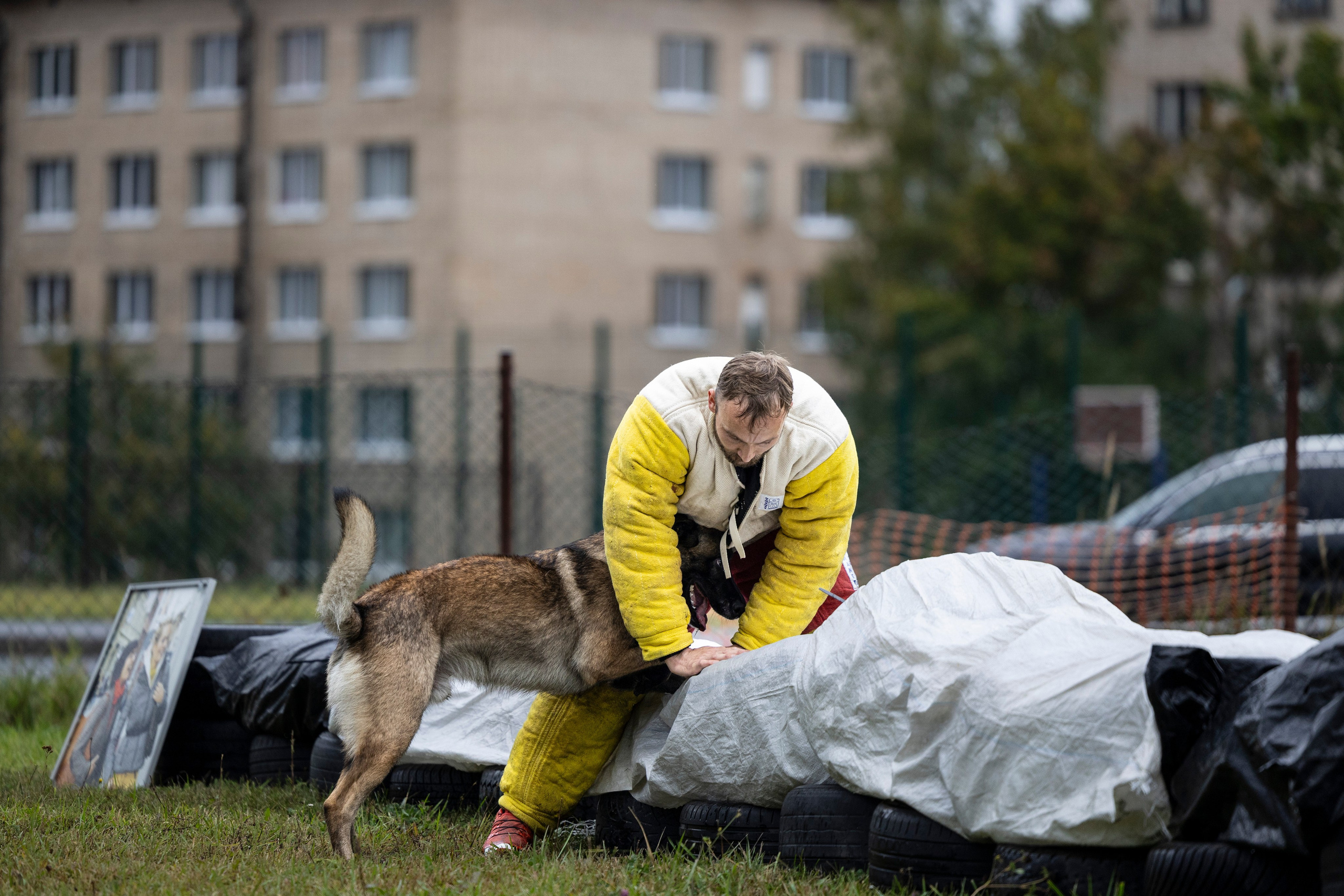 Испытания по Мондьорингу г. Пушкин. Фотограф-анималист Анна Маринич